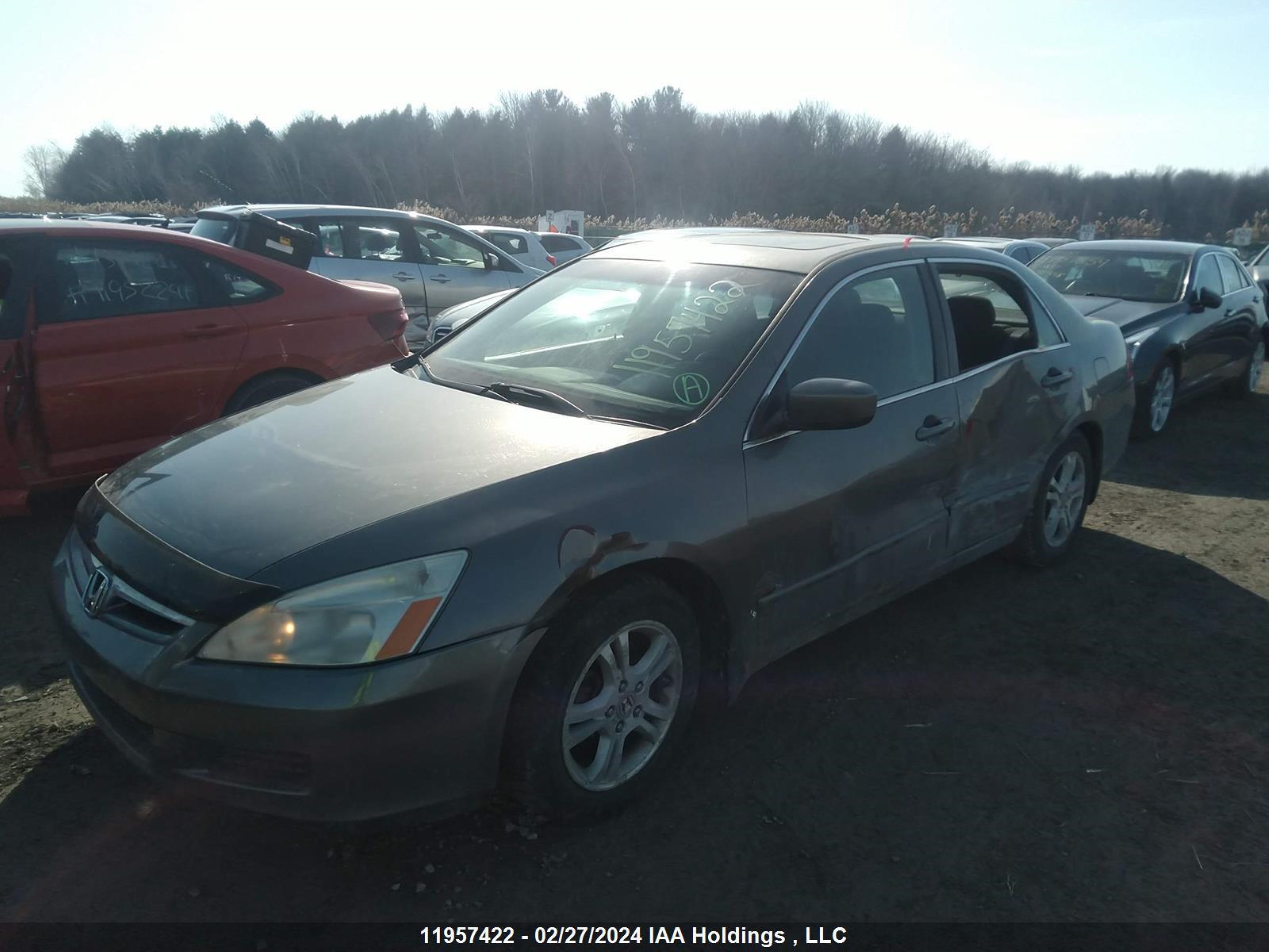 Photo 1 VIN: 1HGCM56336A810159 - HONDA ACCORD 