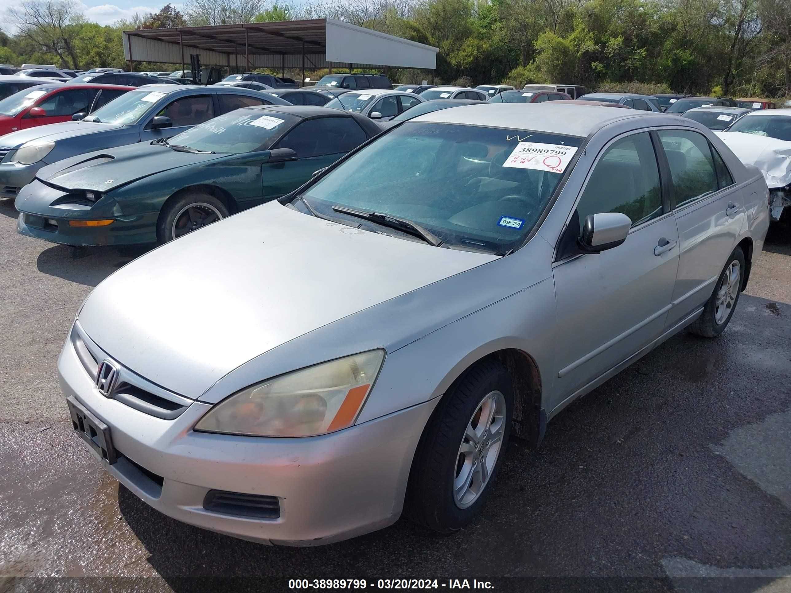 Photo 1 VIN: 1HGCM56356A166339 - HONDA ACCORD 