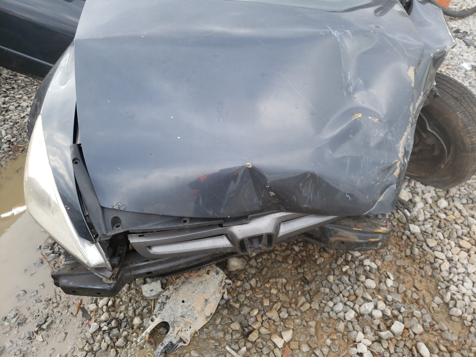 Photo 6 VIN: 1HGCM56363A077469 - HONDA ACCORD LX 