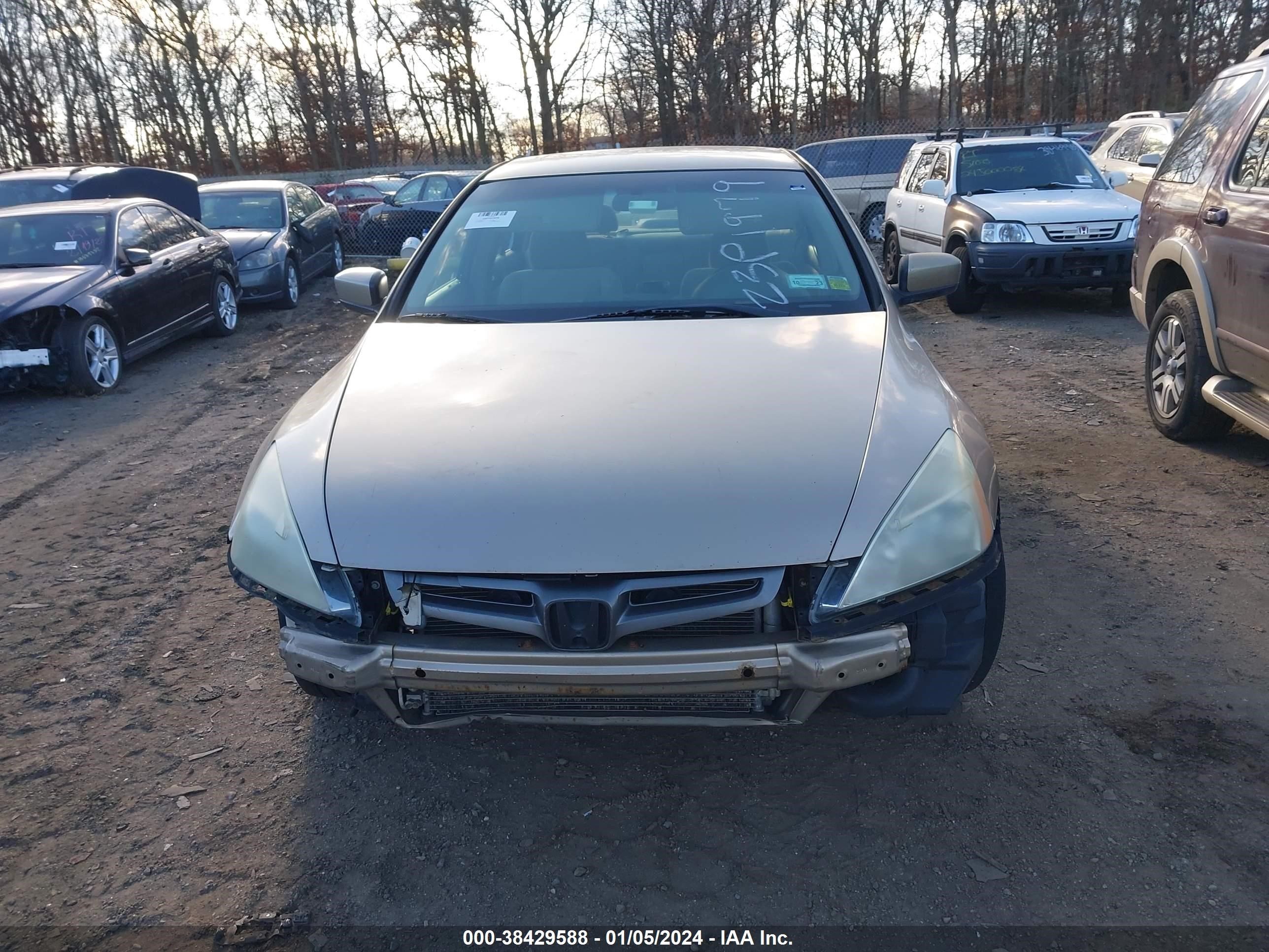 Photo 5 VIN: 1HGCM56363A095003 - HONDA ACCORD 