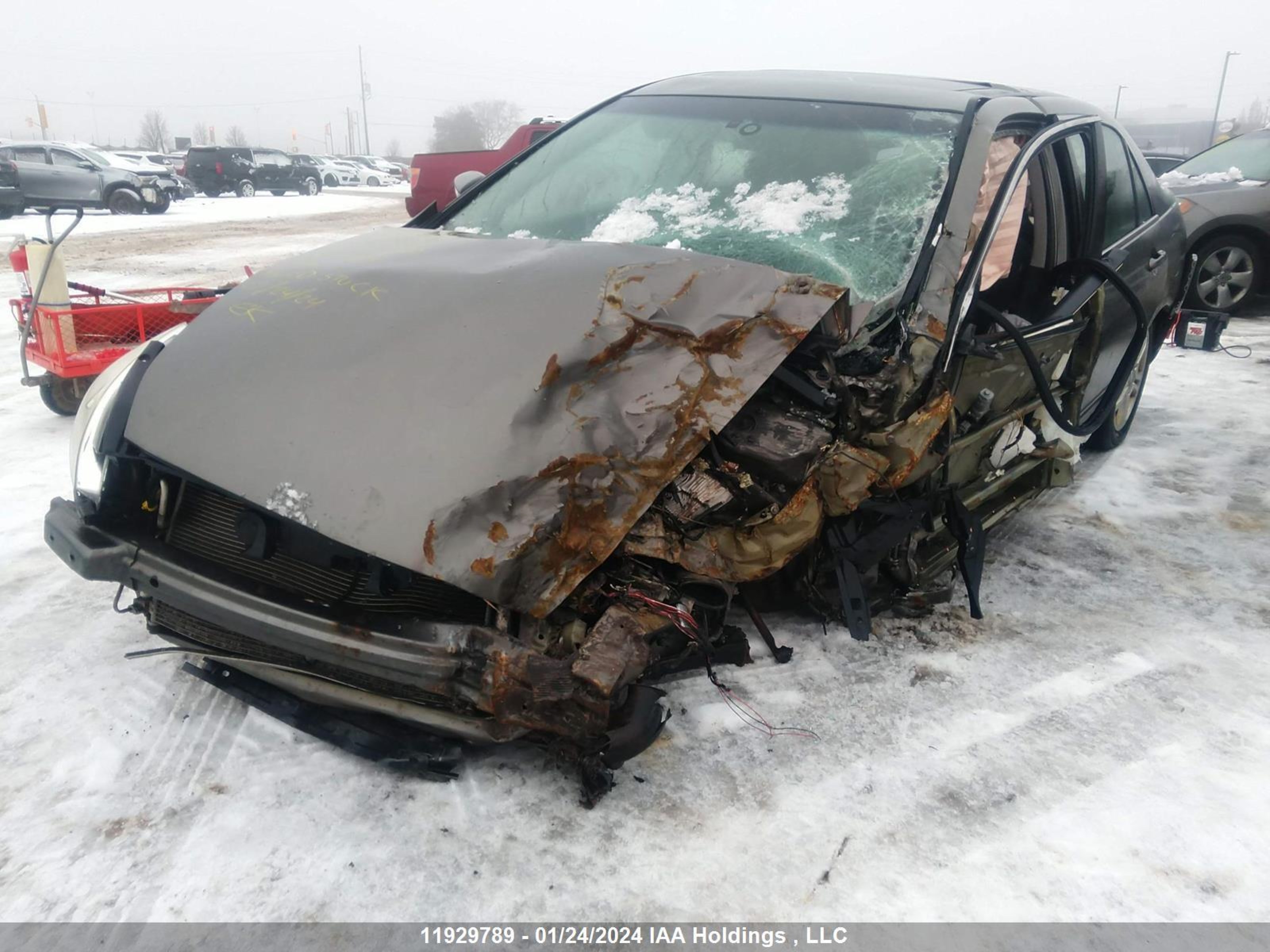 Photo 1 VIN: 1HGCM56376A800184 - HONDA ACCORD 