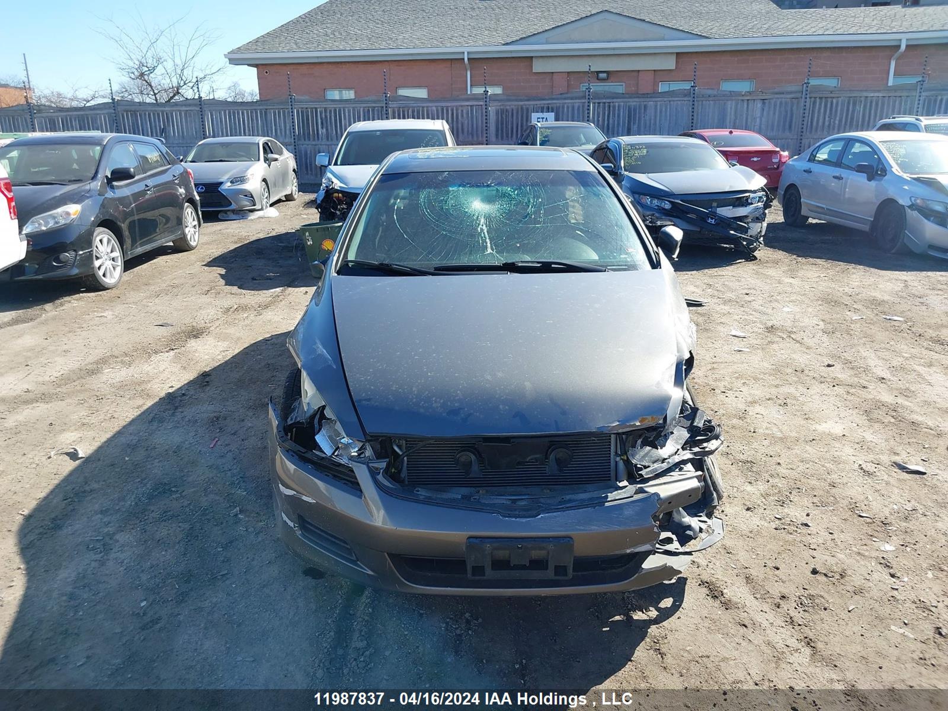 Photo 12 VIN: 1HGCM56386A807564 - HONDA ACCORD 