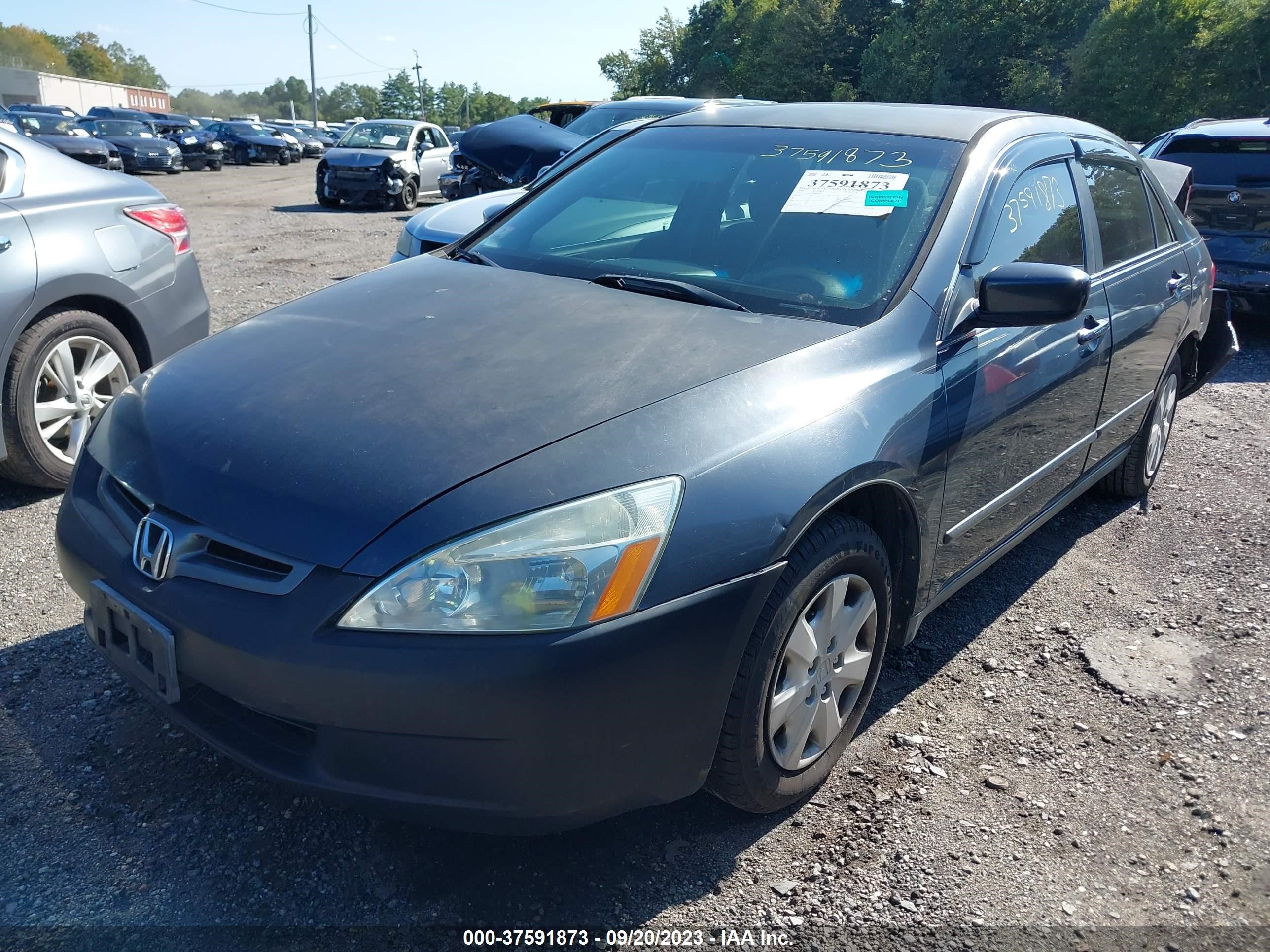 Photo 1 VIN: 1HGCM56393A000479 - HONDA ACCORD 