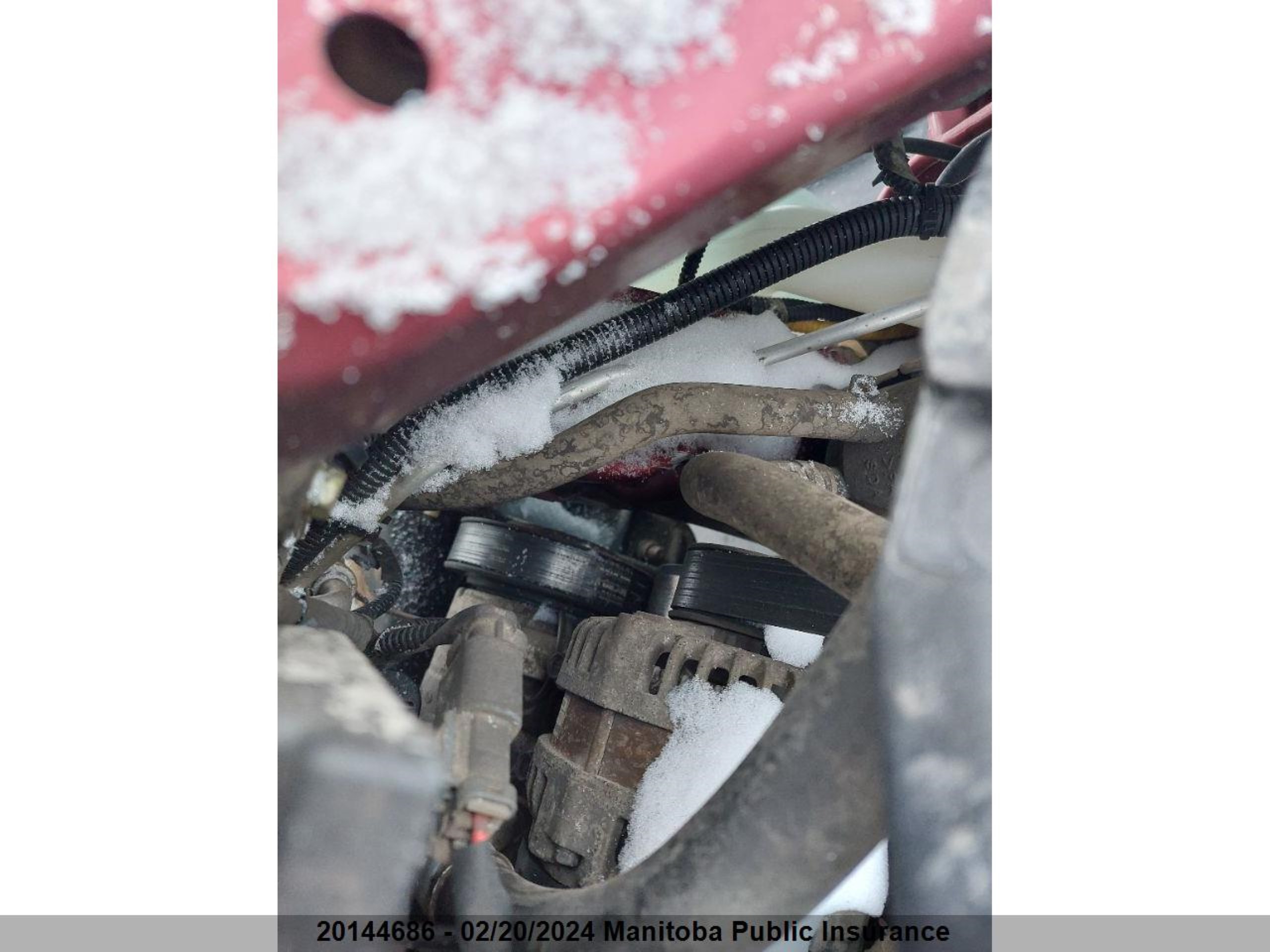 Photo 5 VIN: 1HGCM56396A811011 - HONDA ACCORD 