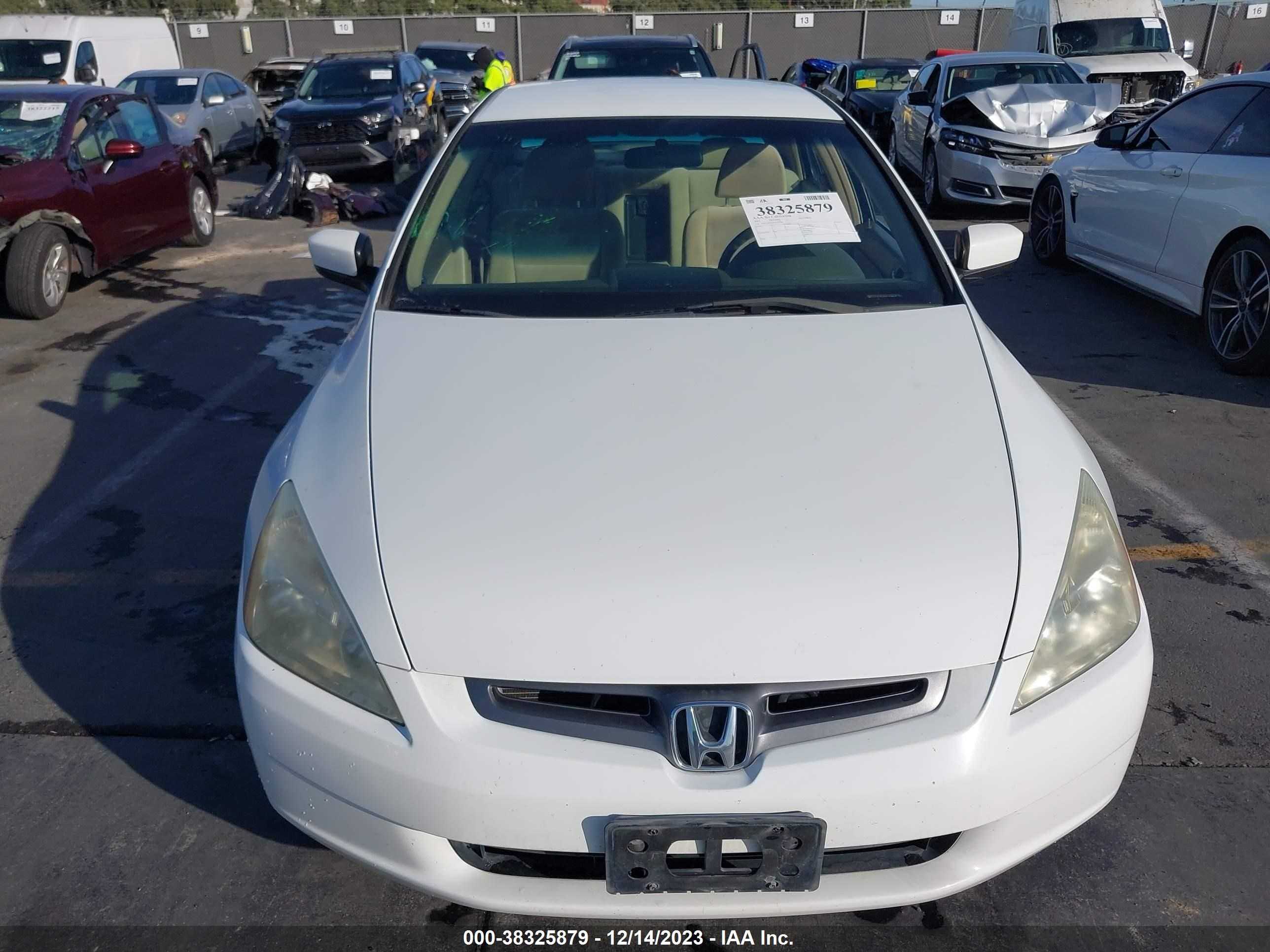 Photo 11 VIN: 1HGCM56405A147348 - HONDA ACCORD 