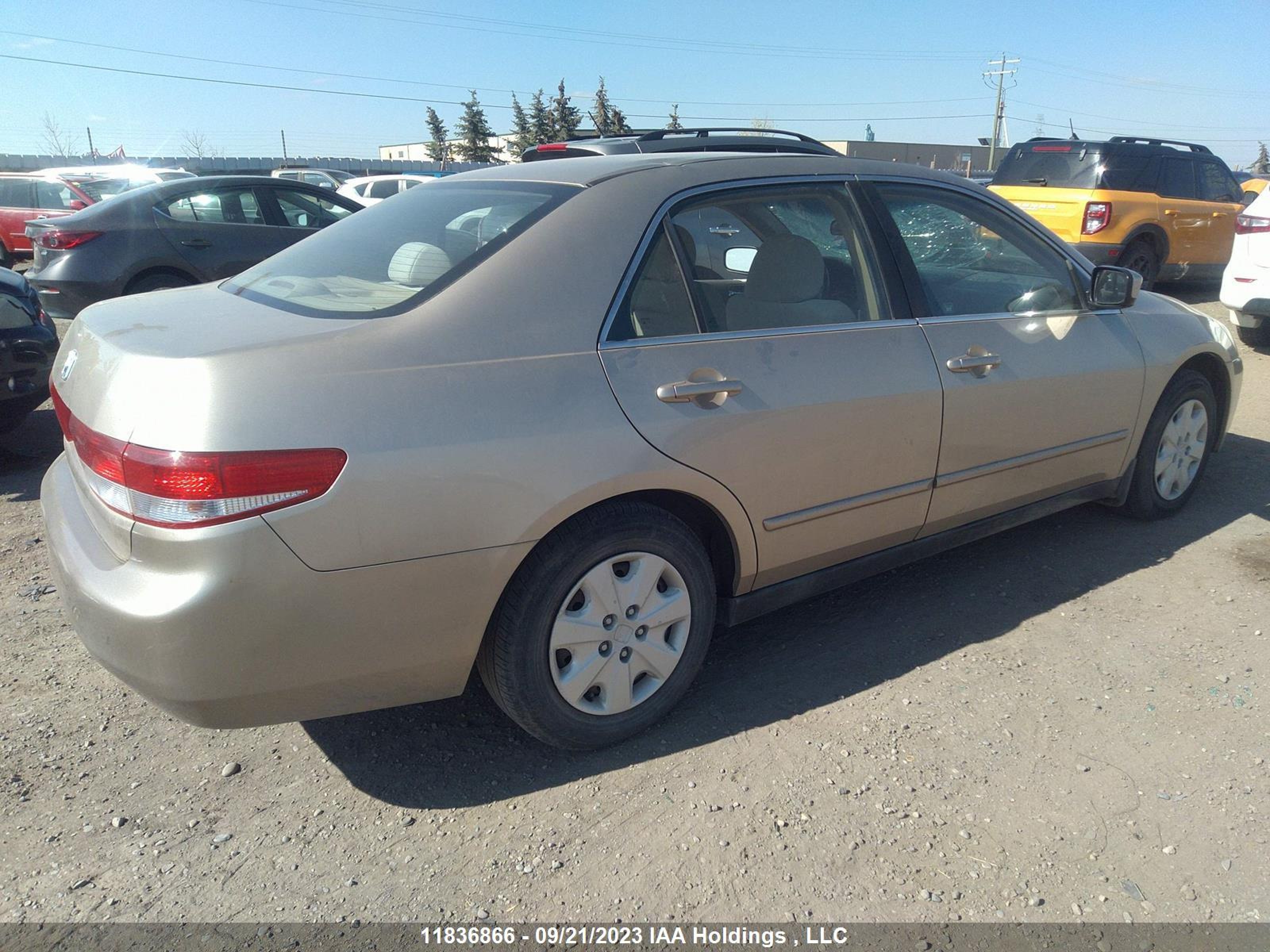 Photo 3 VIN: 1HGCM56433A804091 - HONDA ACCORD 