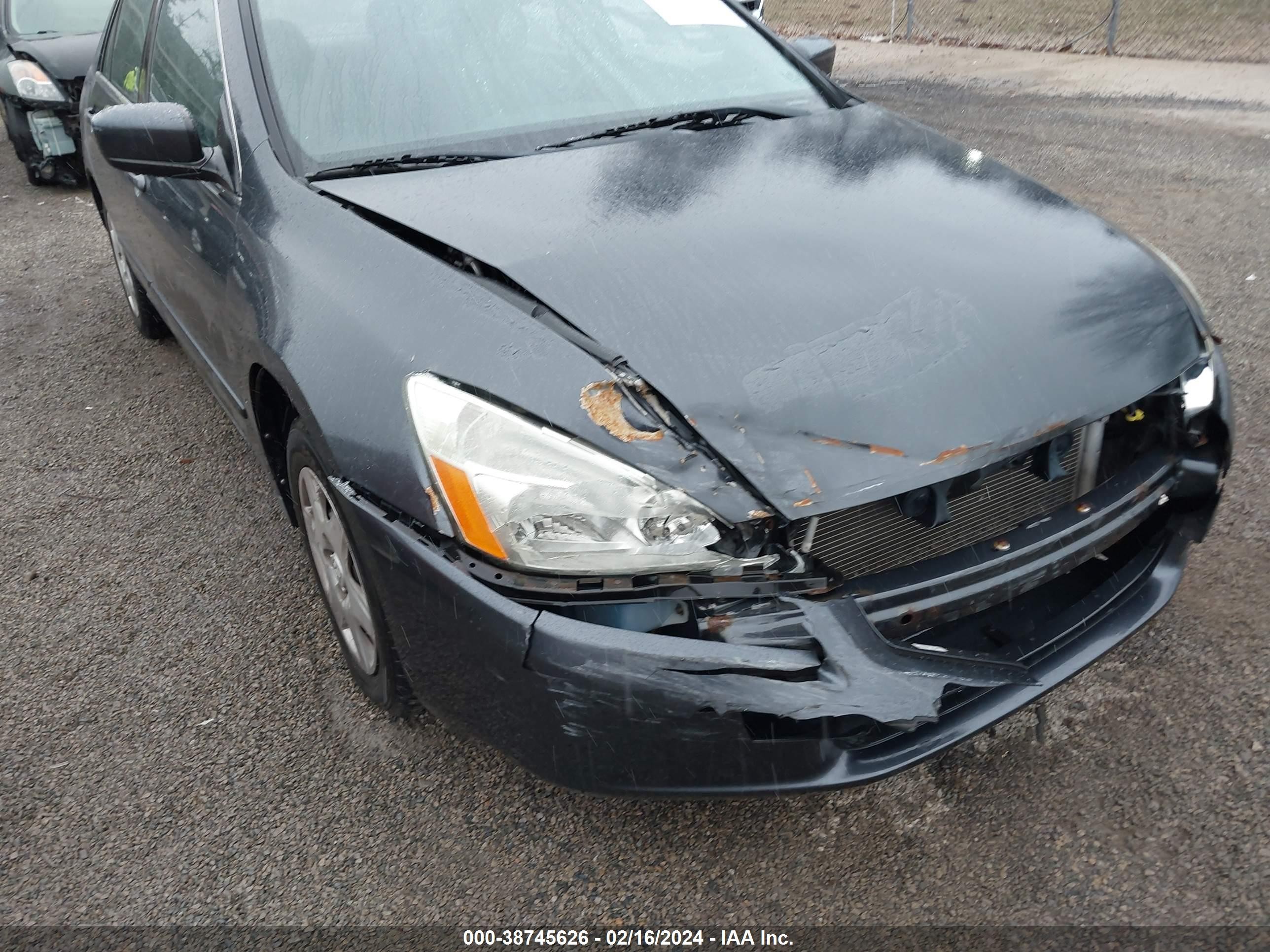 Photo 5 VIN: 1HGCM56465A000824 - HONDA ACCORD 