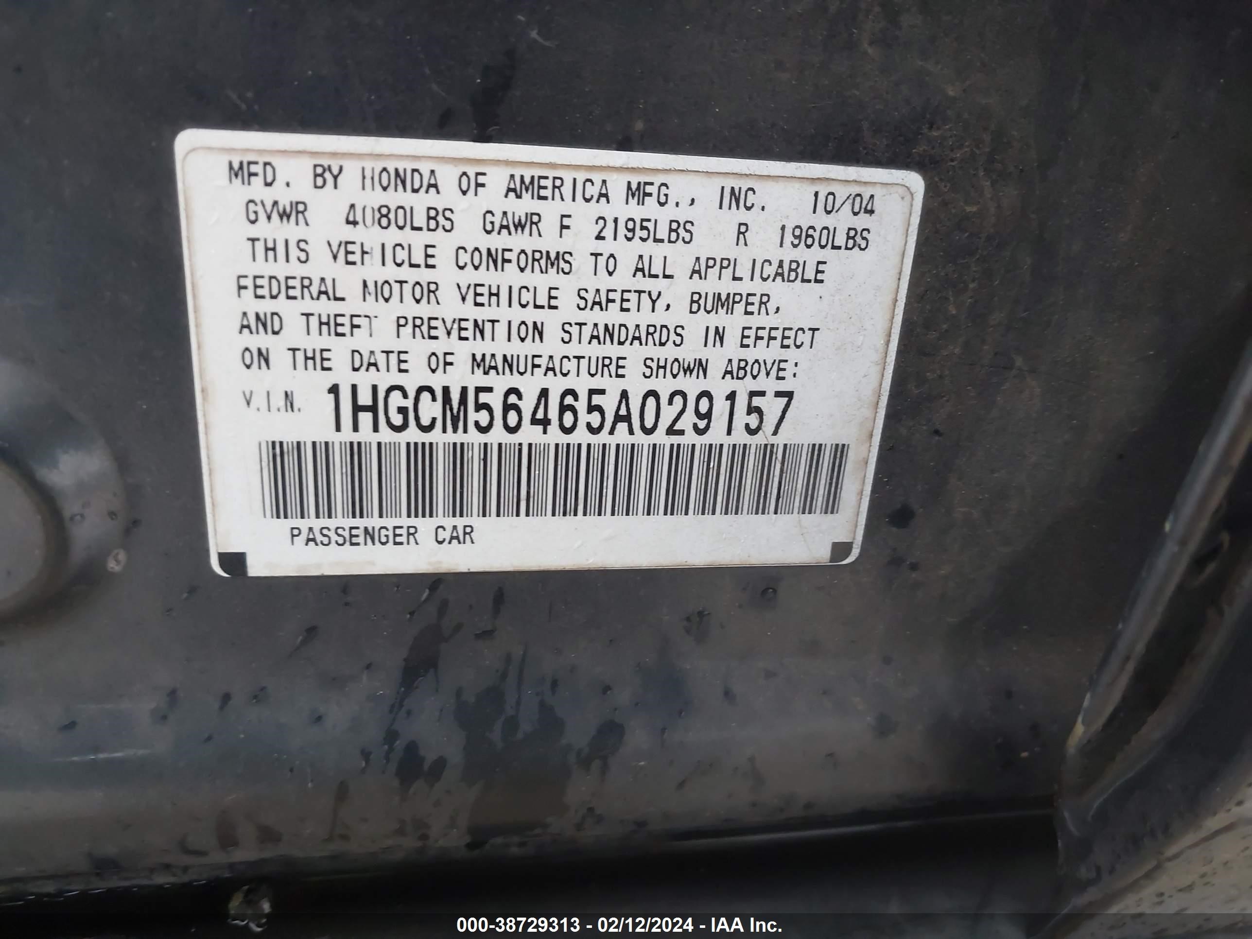 Photo 8 VIN: 1HGCM56465A029157 - HONDA ACCORD 