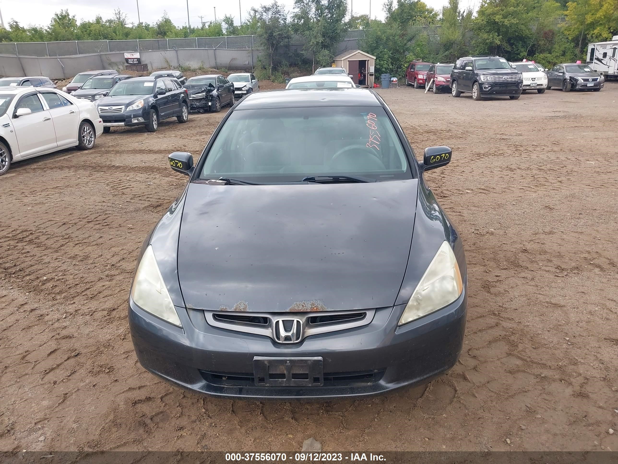 Photo 5 VIN: 1HGCM56475A032794 - HONDA ACCORD 