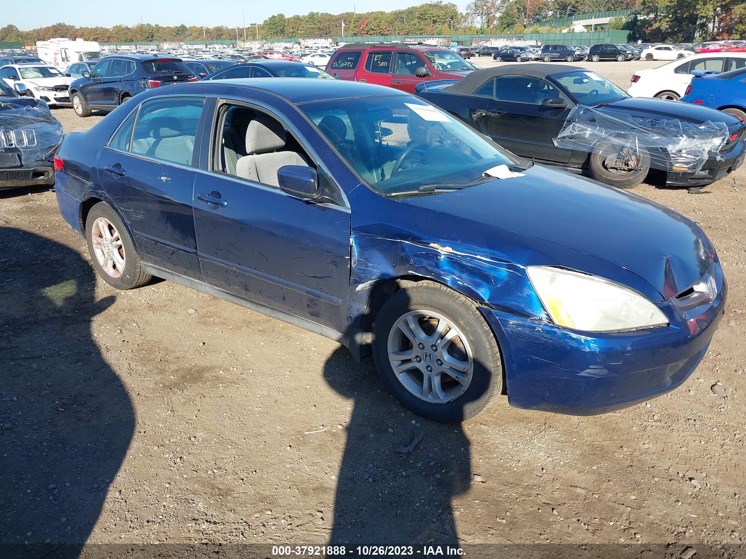 Photo 5 VIN: 1HGCM56475A107641 - HONDA ACCORD 