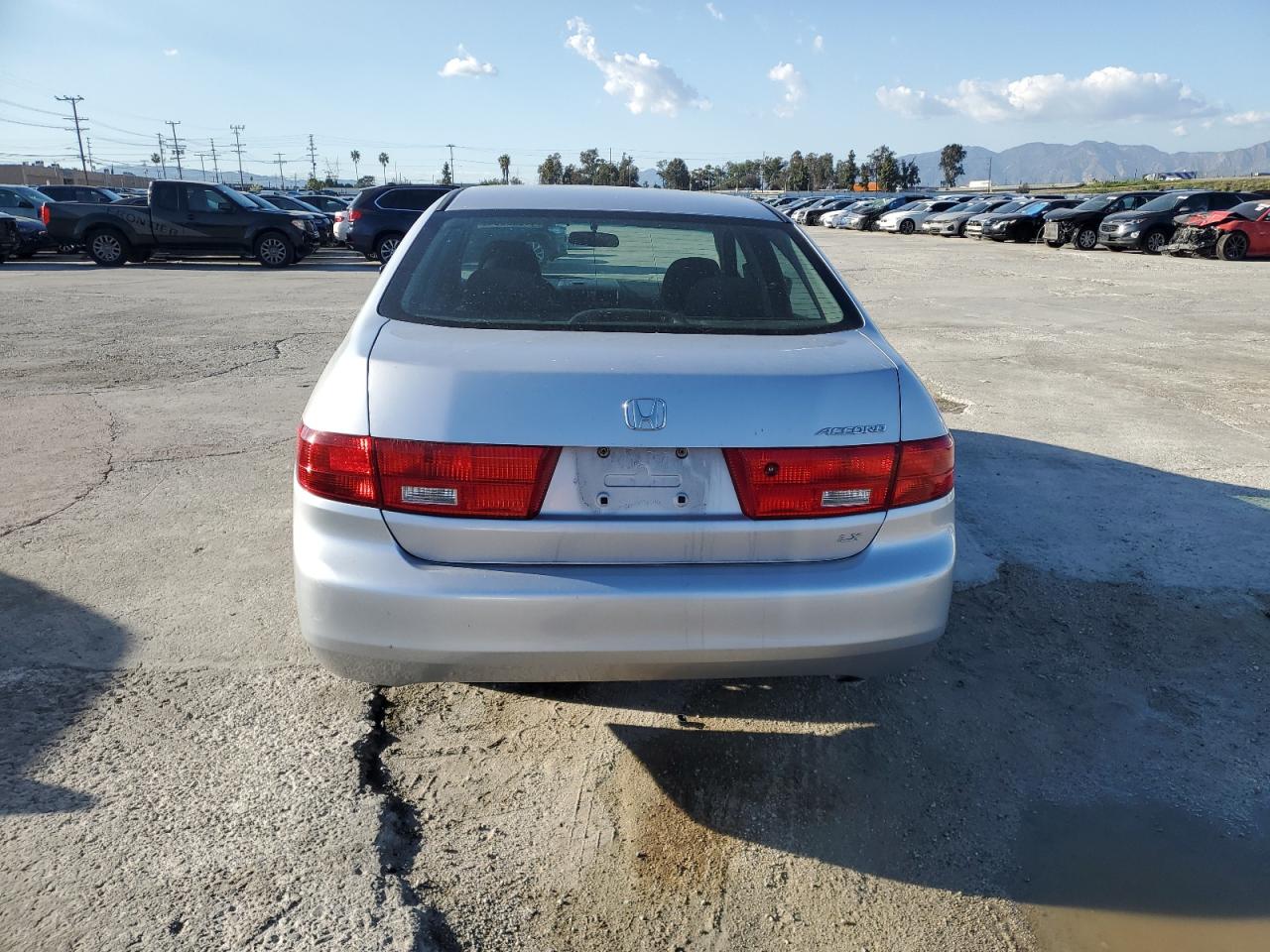 Photo 5 VIN: 1HGCM56485A044310 - HONDA ACCORD 