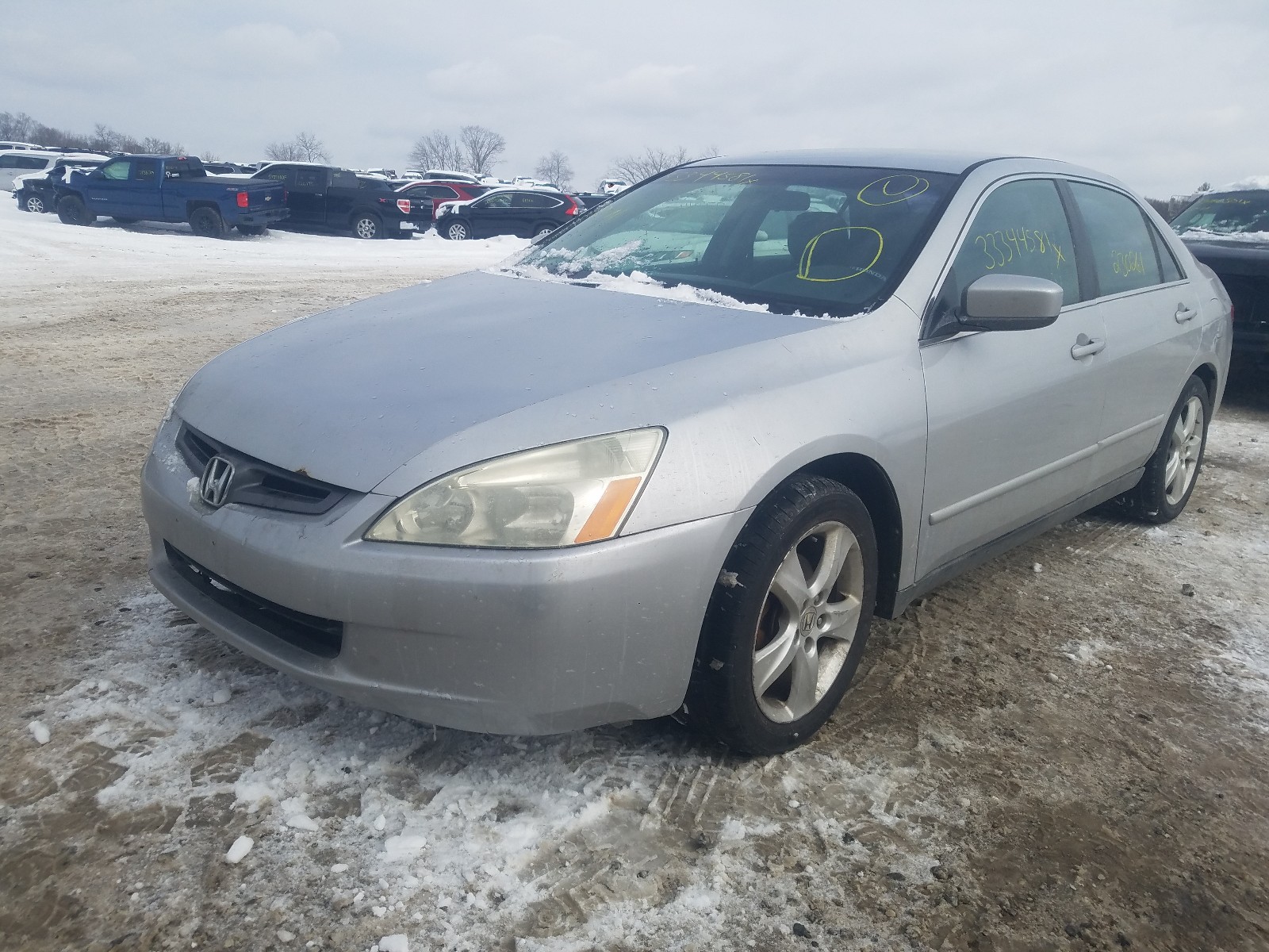 Photo 1 VIN: 1HGCM56495A049029 - HONDA ACCORD LX 