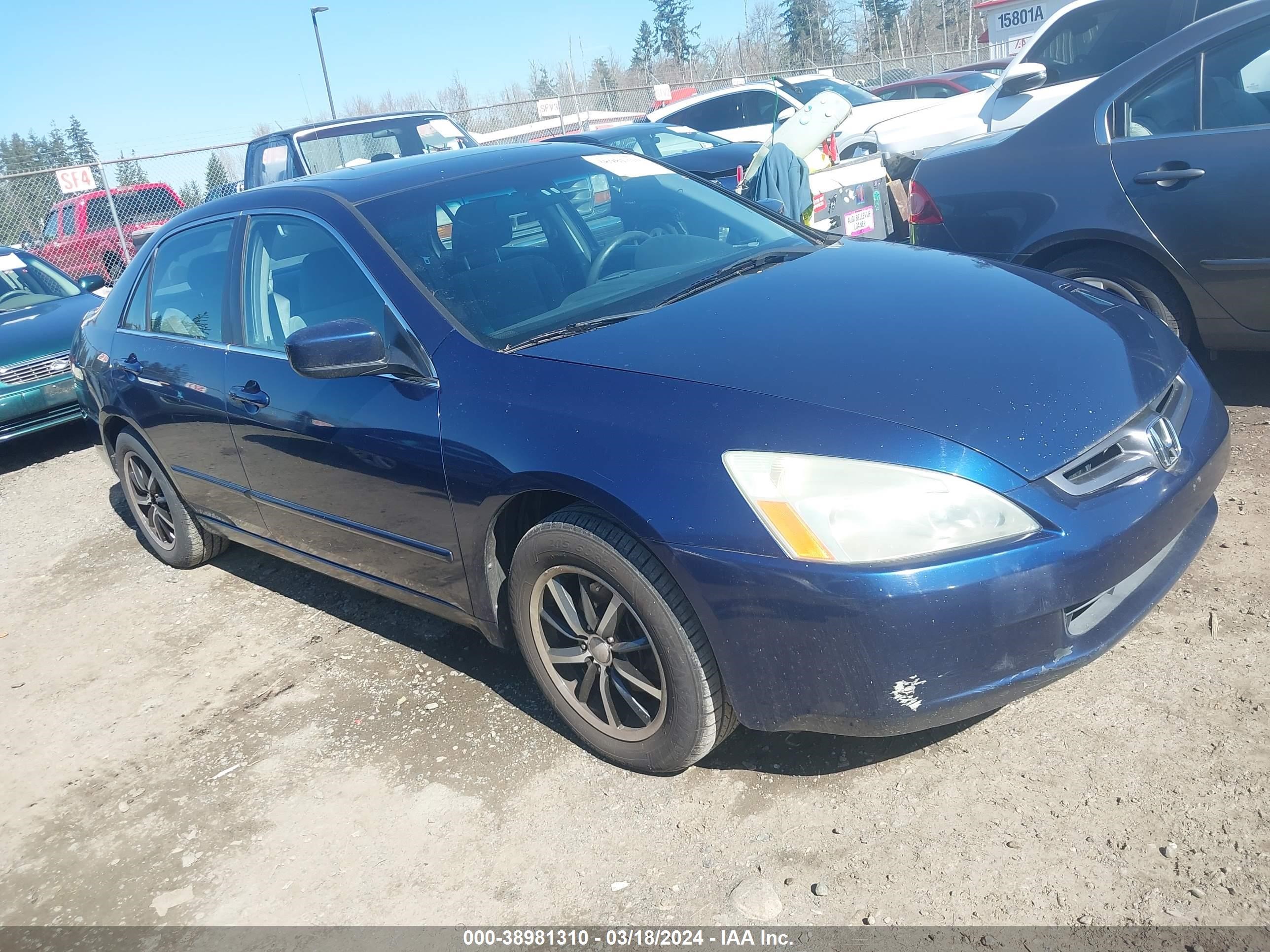 Photo 0 VIN: 1HGCM56643A141549 - HONDA ACCORD 