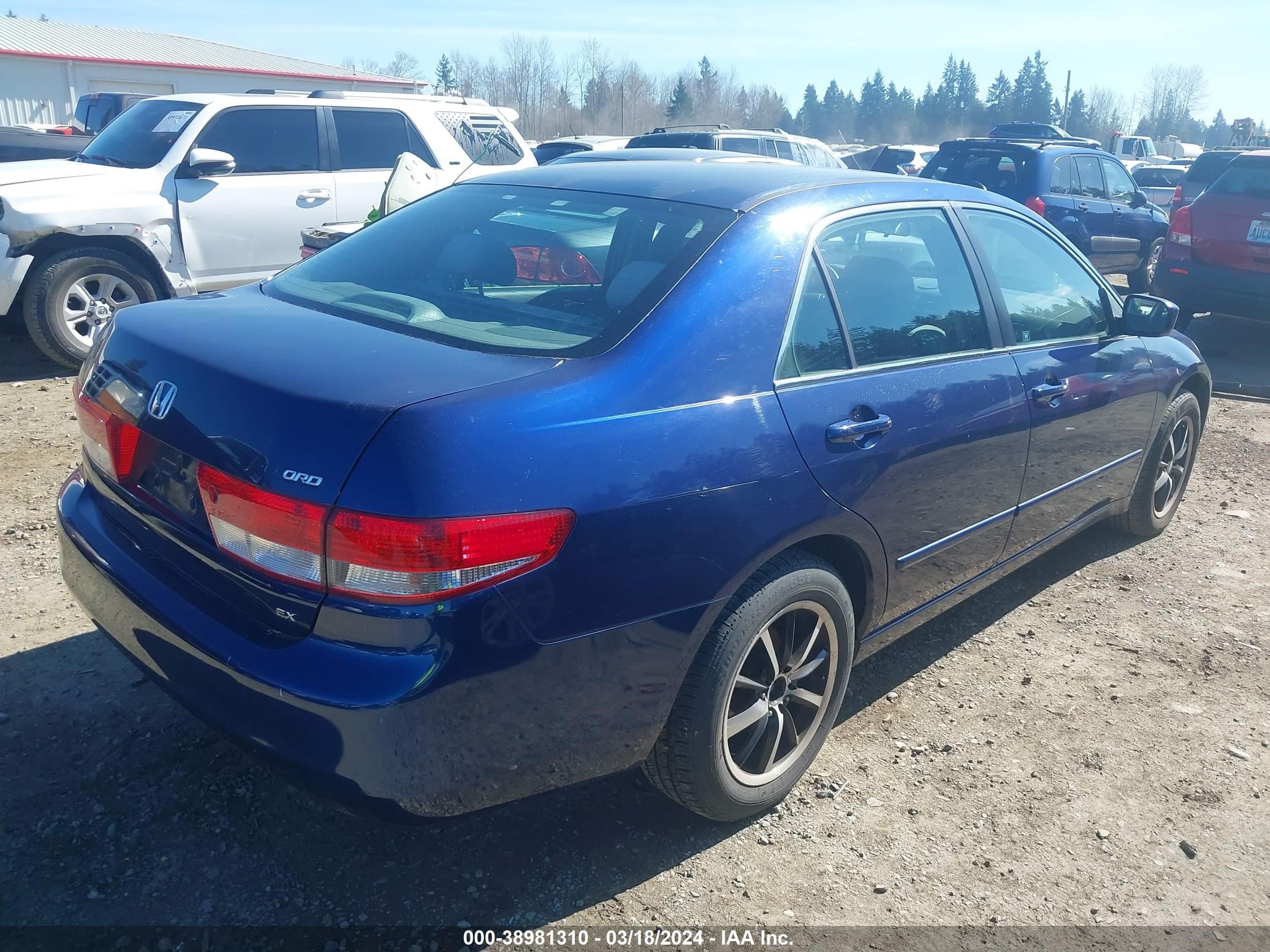 Photo 3 VIN: 1HGCM56643A141549 - HONDA ACCORD 