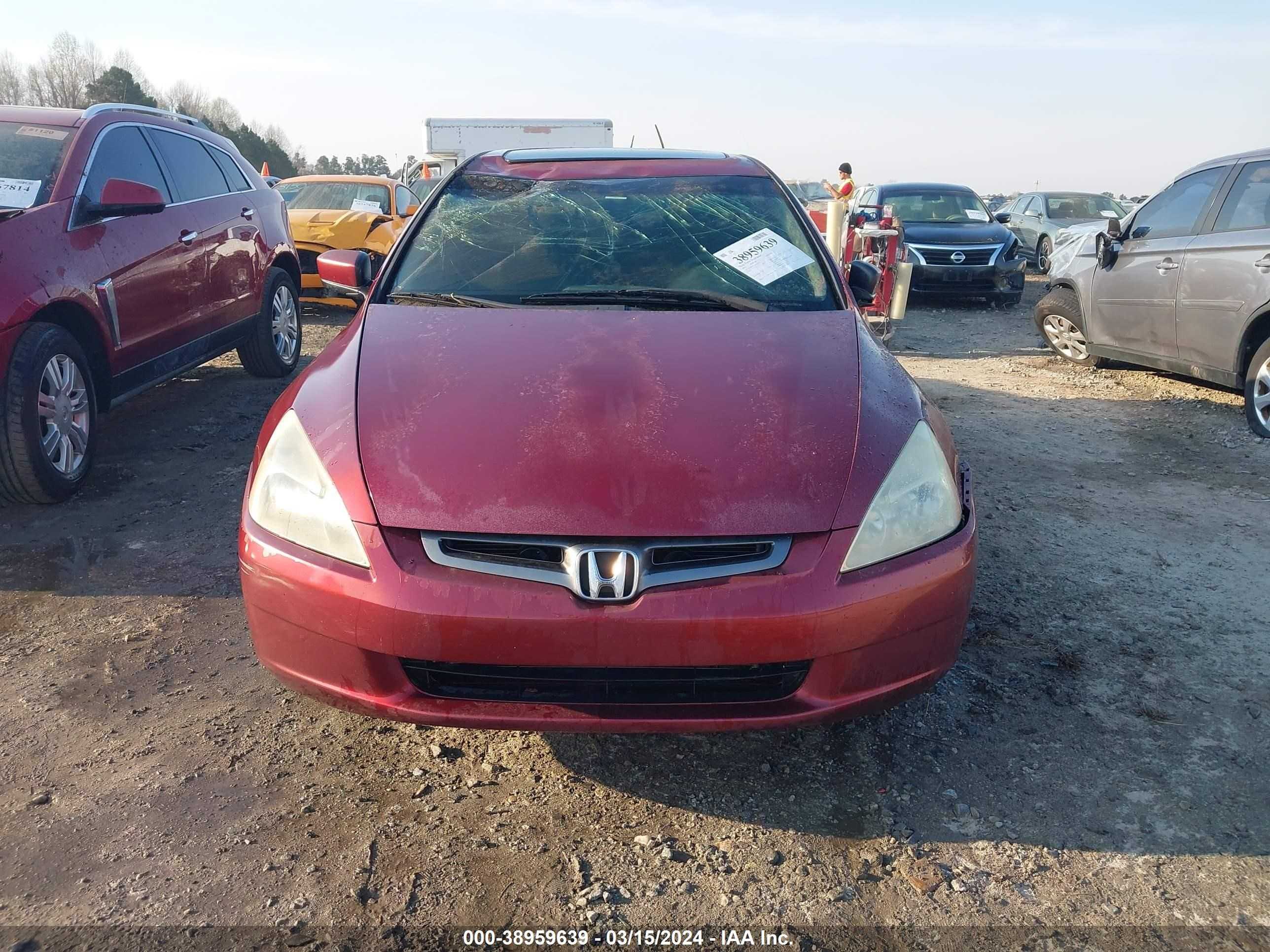 Photo 10 VIN: 1HGCM56644A015578 - HONDA ACCORD 