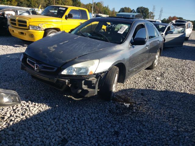 Photo 1 VIN: 1HGCM56653A091406 - HONDA ACCORD 