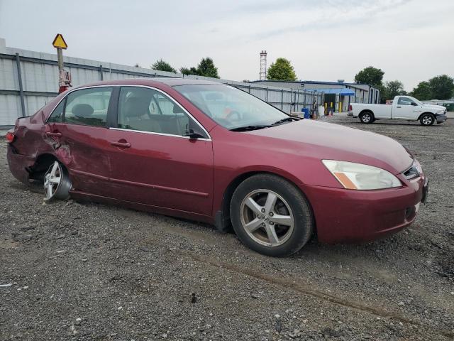 Photo 3 VIN: 1HGCM56653A814929 - HONDA ACCORD 