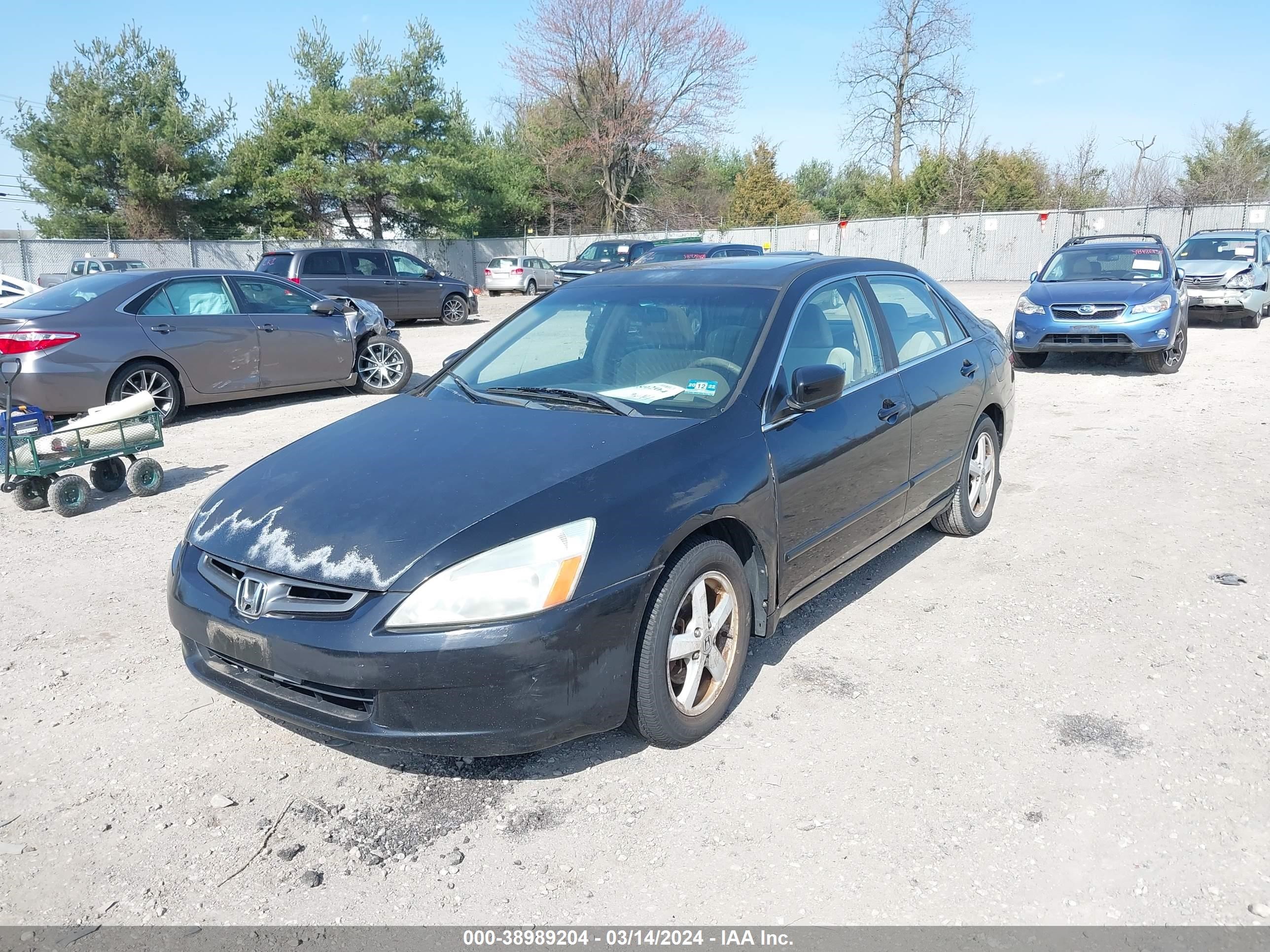 Photo 5 VIN: 1HGCM56663A094847 - HONDA ACCORD 