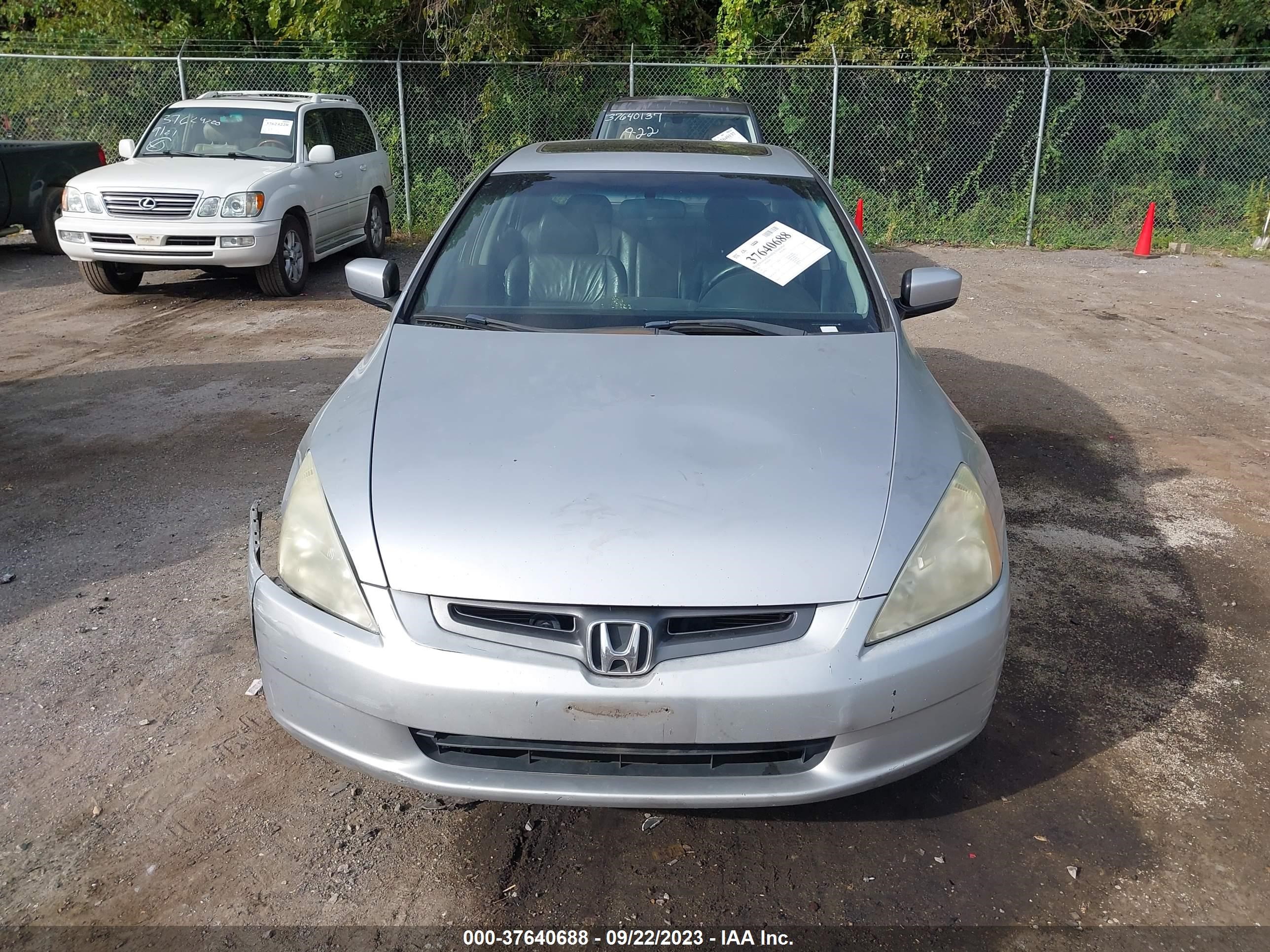 Photo 11 VIN: 1HGCM56673A072193 - HONDA ACCORD 