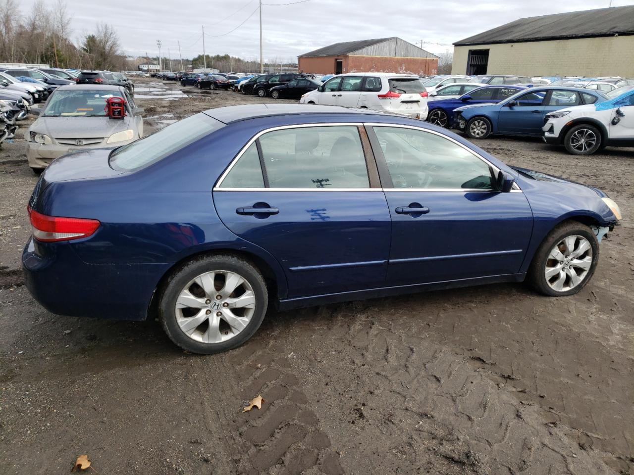 Photo 2 VIN: 1HGCM56684A022811 - HONDA ACCORD 