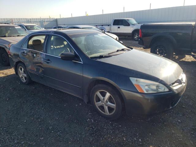 Photo 3 VIN: 1HGCM56695A801636 - HONDA ACCORD 