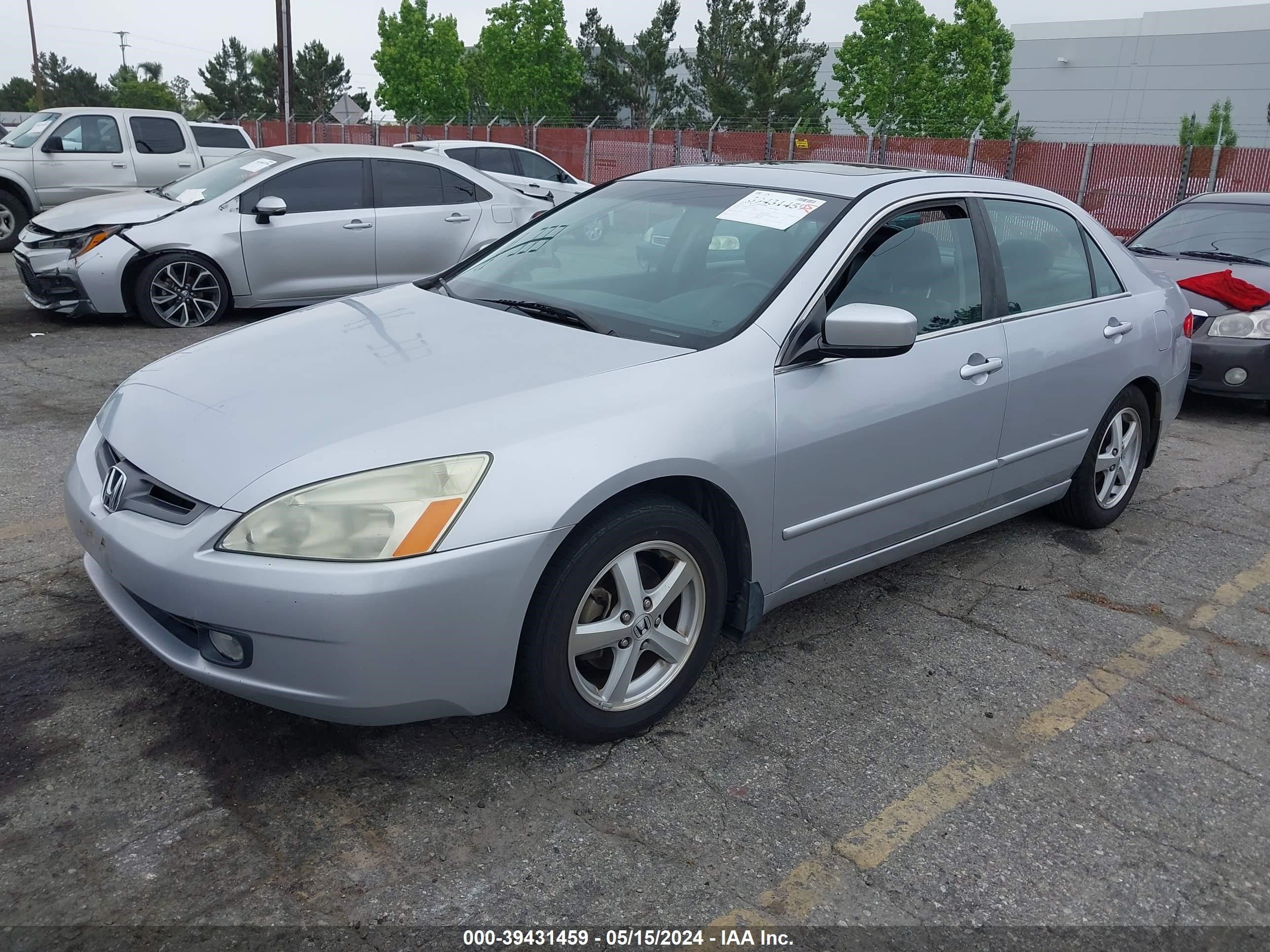 Photo 1 VIN: 1HGCM56705A113355 - HONDA ACCORD 