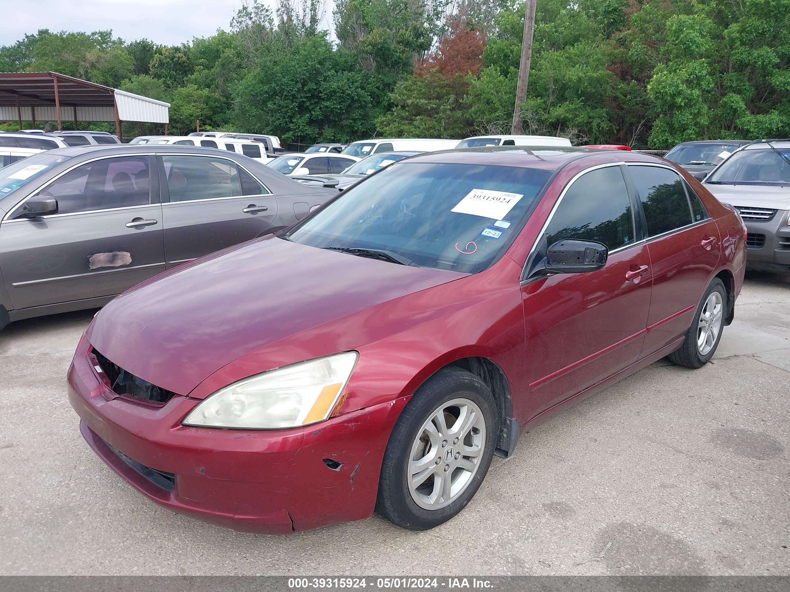 Photo 1 VIN: 1HGCM56705A131290 - HONDA ACCORD 