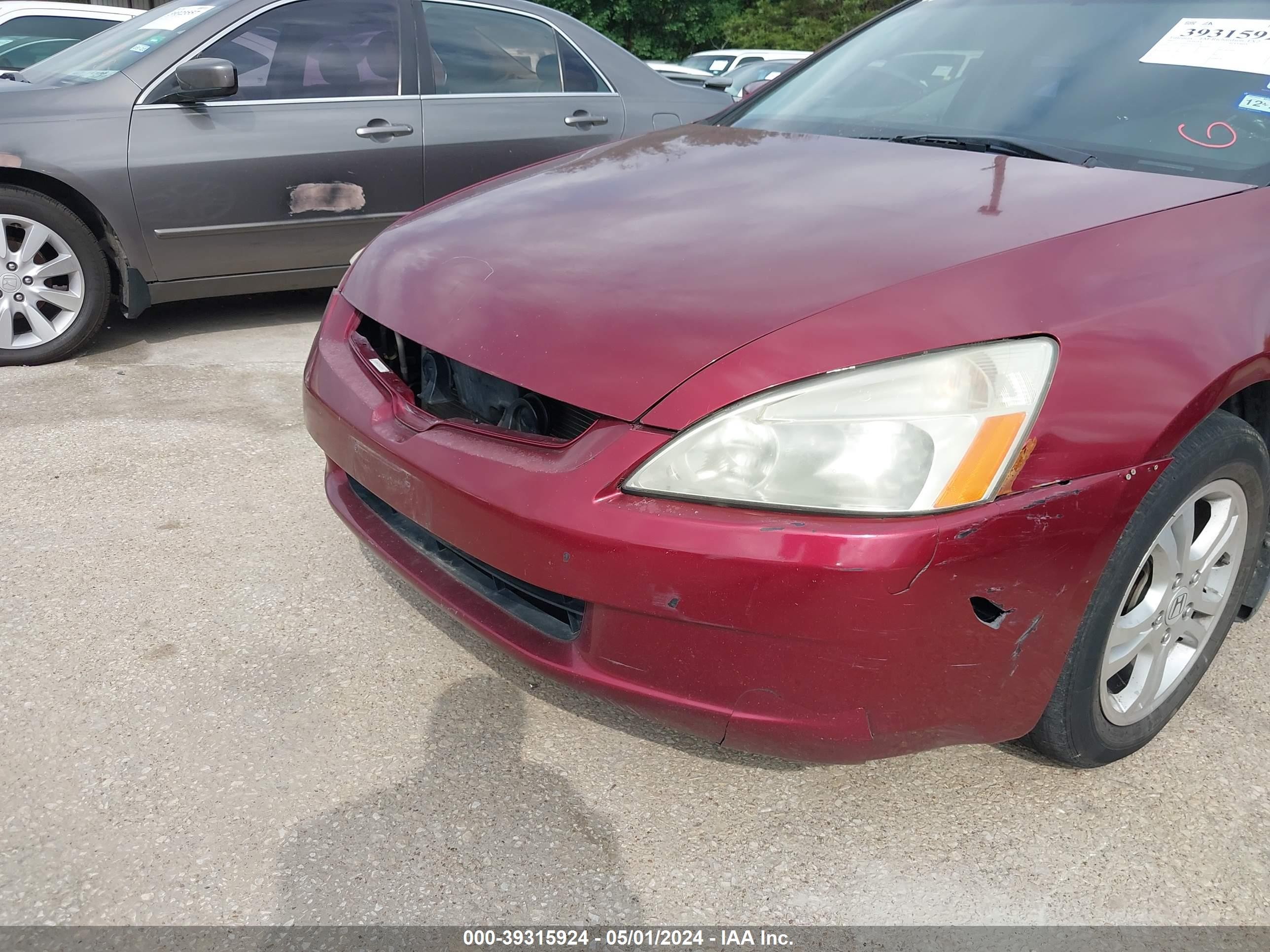 Photo 5 VIN: 1HGCM56705A131290 - HONDA ACCORD 