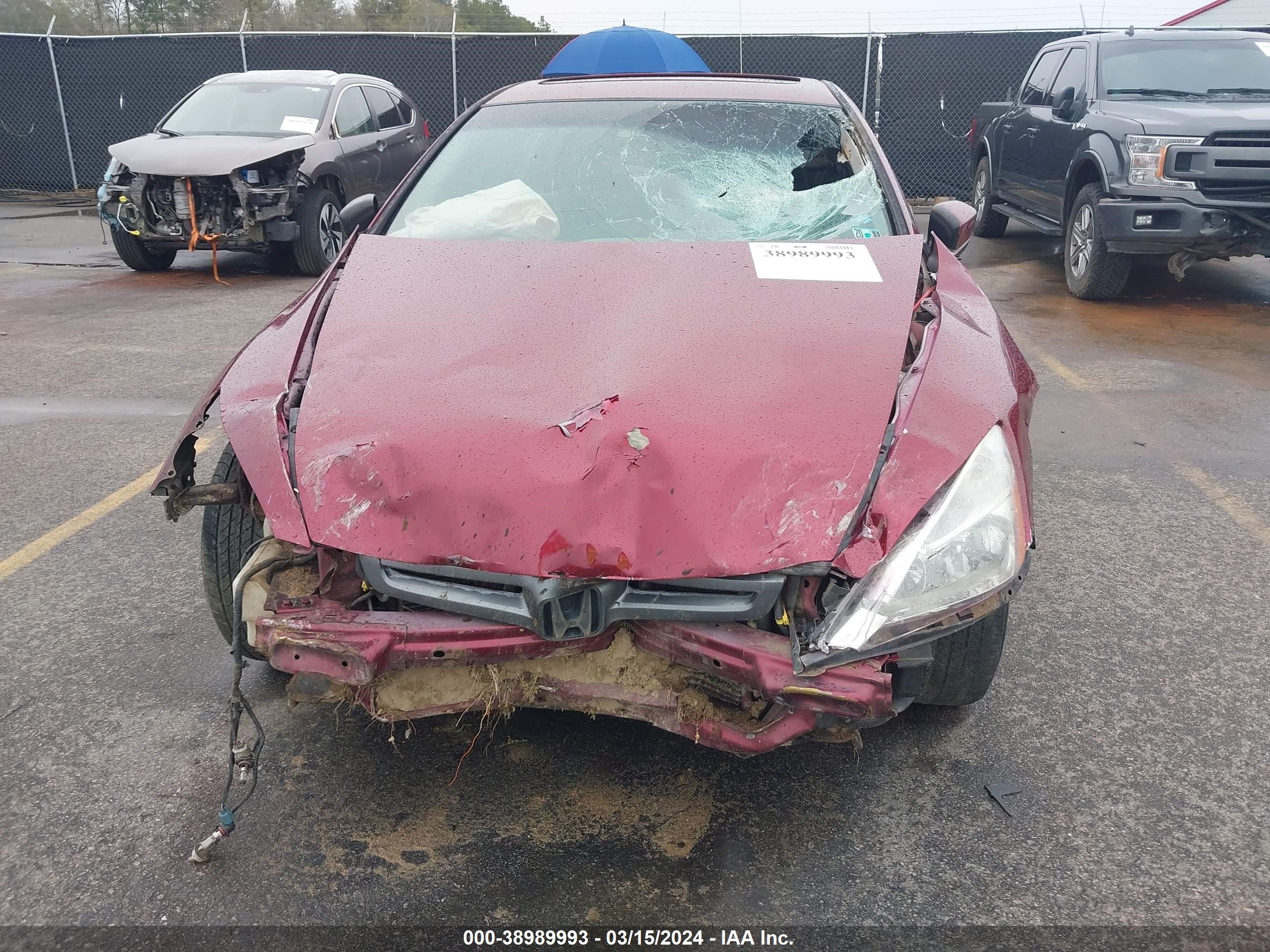 Photo 5 VIN: 1HGCM56715A042229 - HONDA ACCORD 