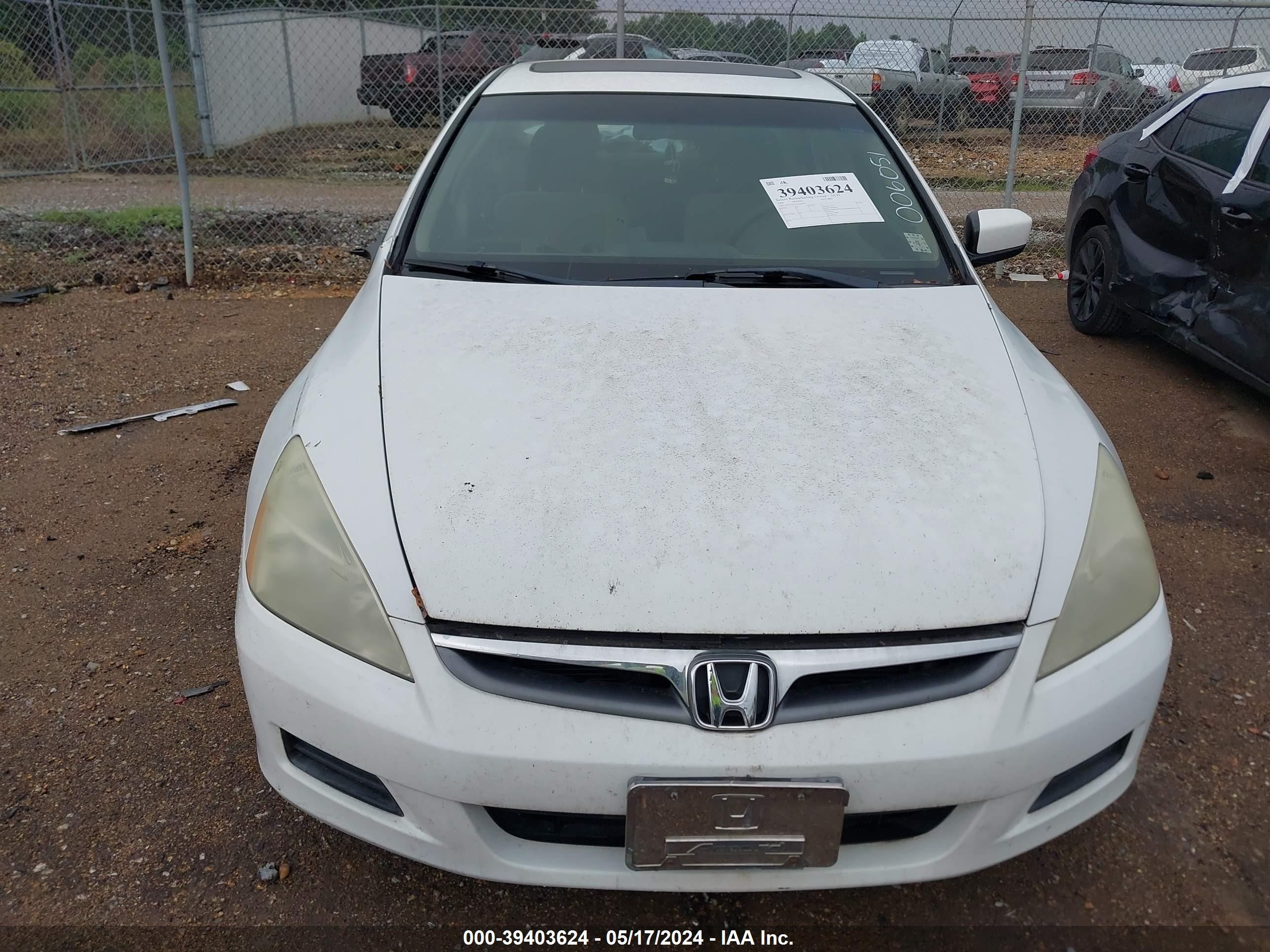 Photo 5 VIN: 1HGCM56726A006051 - HONDA ACCORD 