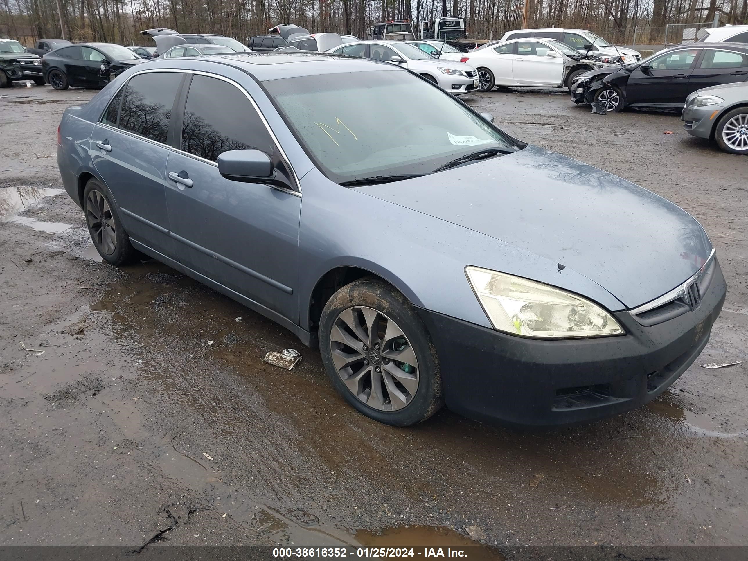 Photo 0 VIN: 1HGCM56727A106829 - HONDA ACCORD 