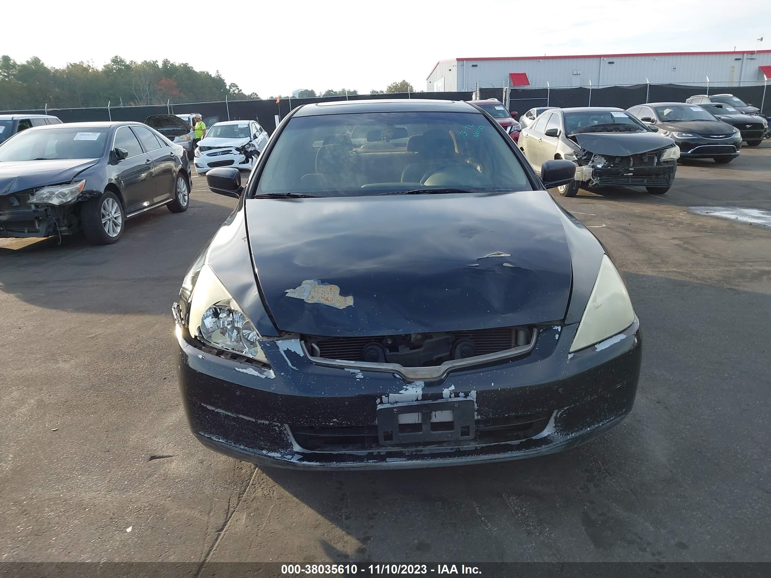 Photo 11 VIN: 1HGCM56735A131462 - HONDA ACCORD 