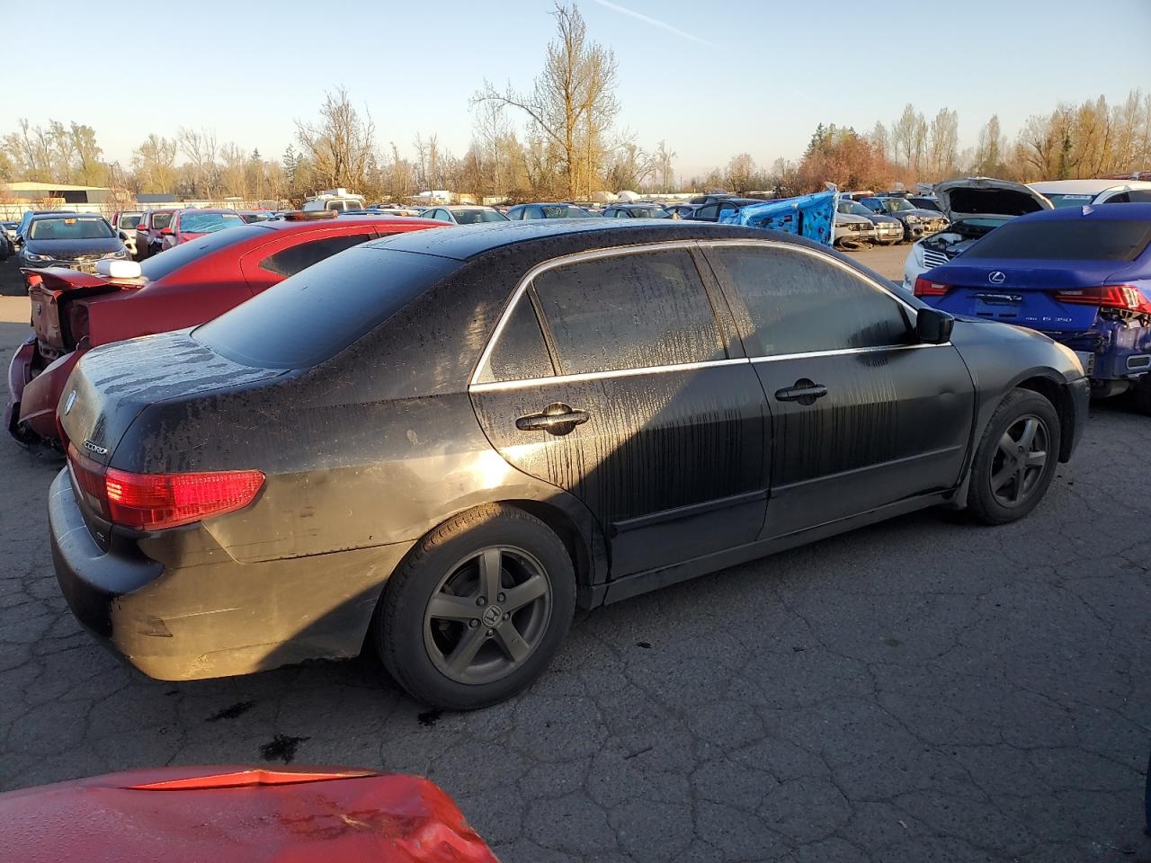 Photo 2 VIN: 1HGCM56745A014716 - HONDA ACCORD 