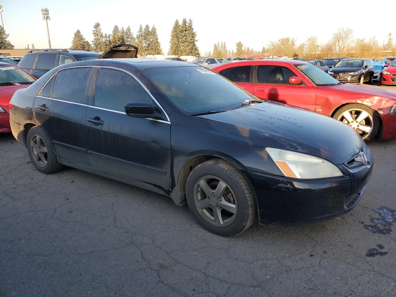 Photo 3 VIN: 1HGCM56745A014716 - HONDA ACCORD 