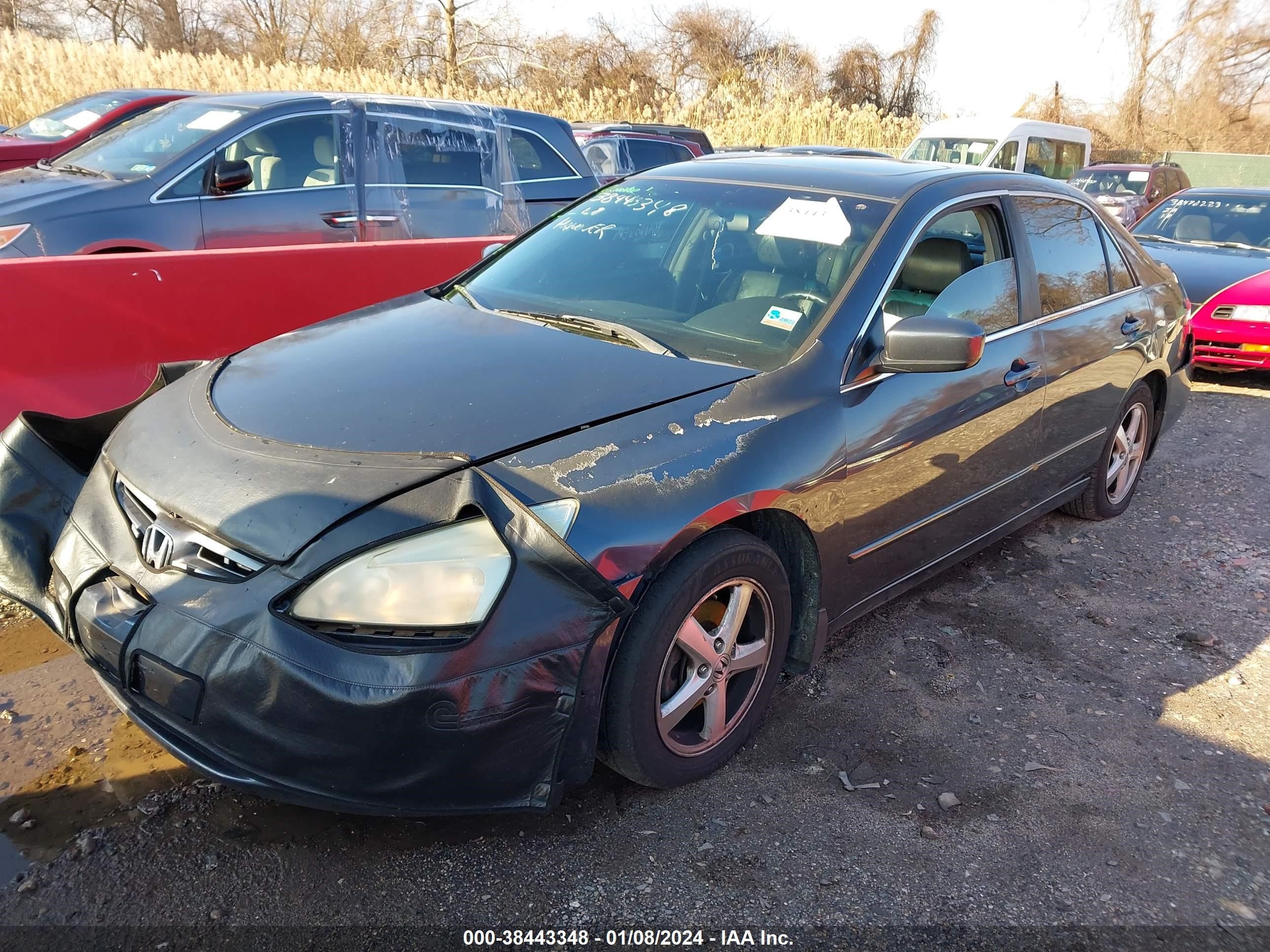 Photo 1 VIN: 1HGCM56764A103914 - HONDA ACCORD 