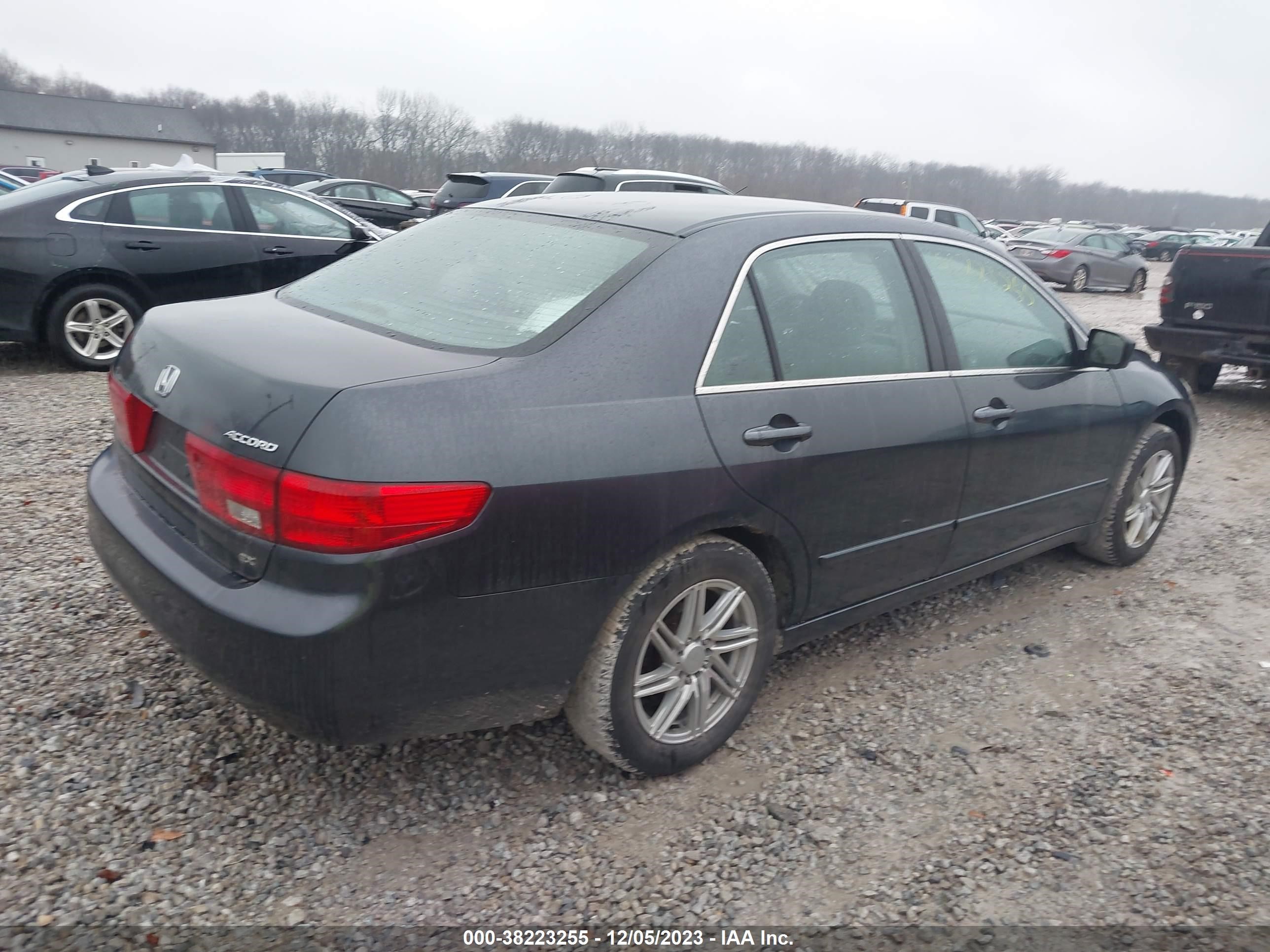 Photo 3 VIN: 1HGCM56765A021585 - HONDA ACCORD 