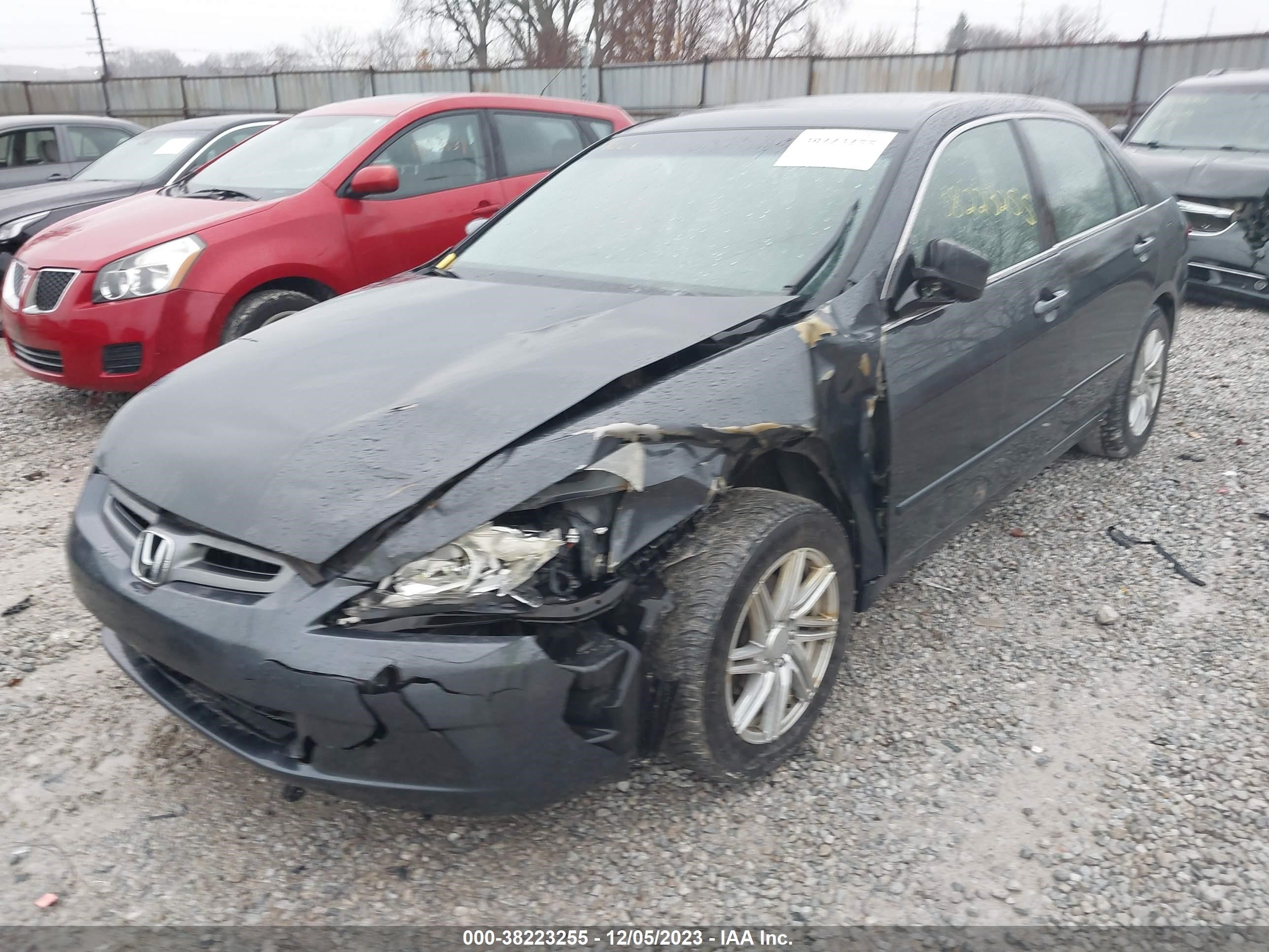 Photo 5 VIN: 1HGCM56765A021585 - HONDA ACCORD 