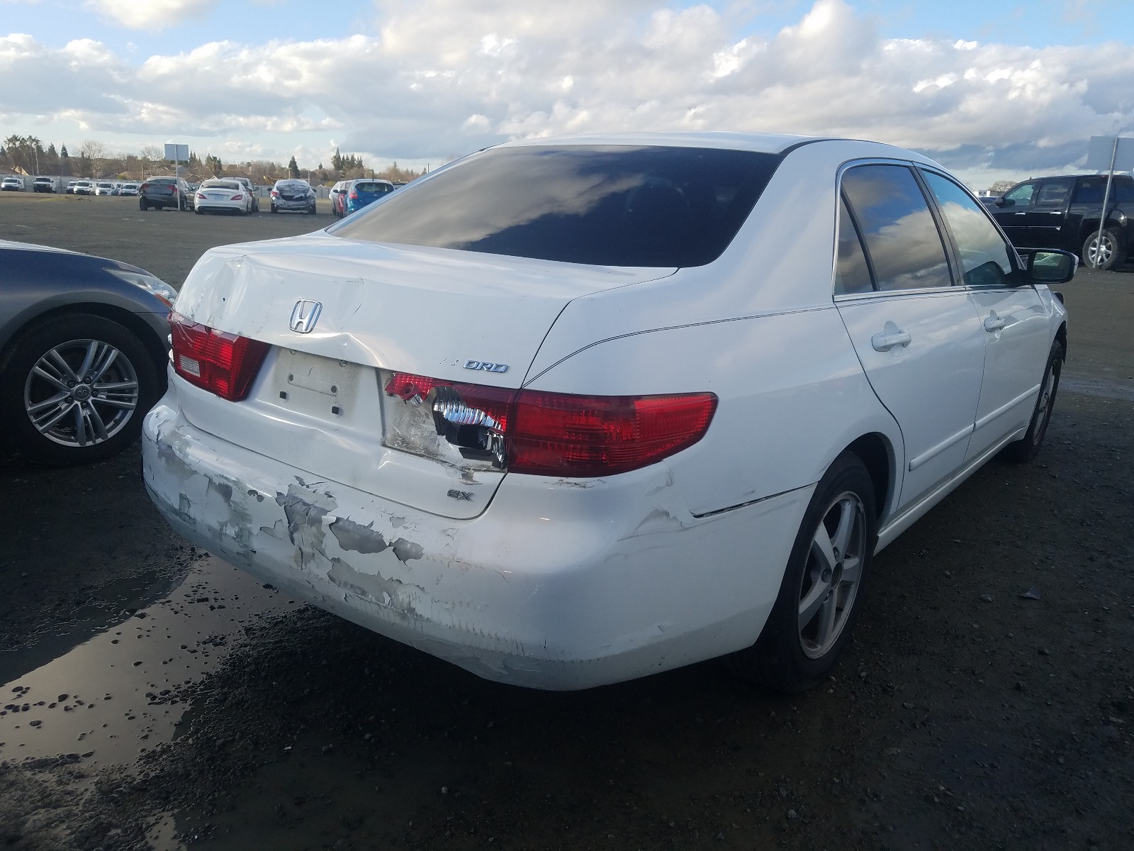 Photo 3 VIN: 1HGCM56765A057695 - HONDA ACCORD EX 