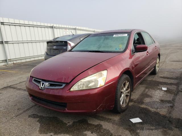 Photo 1 VIN: 1HGCM56765A155920 - HONDA ACCORD EX 