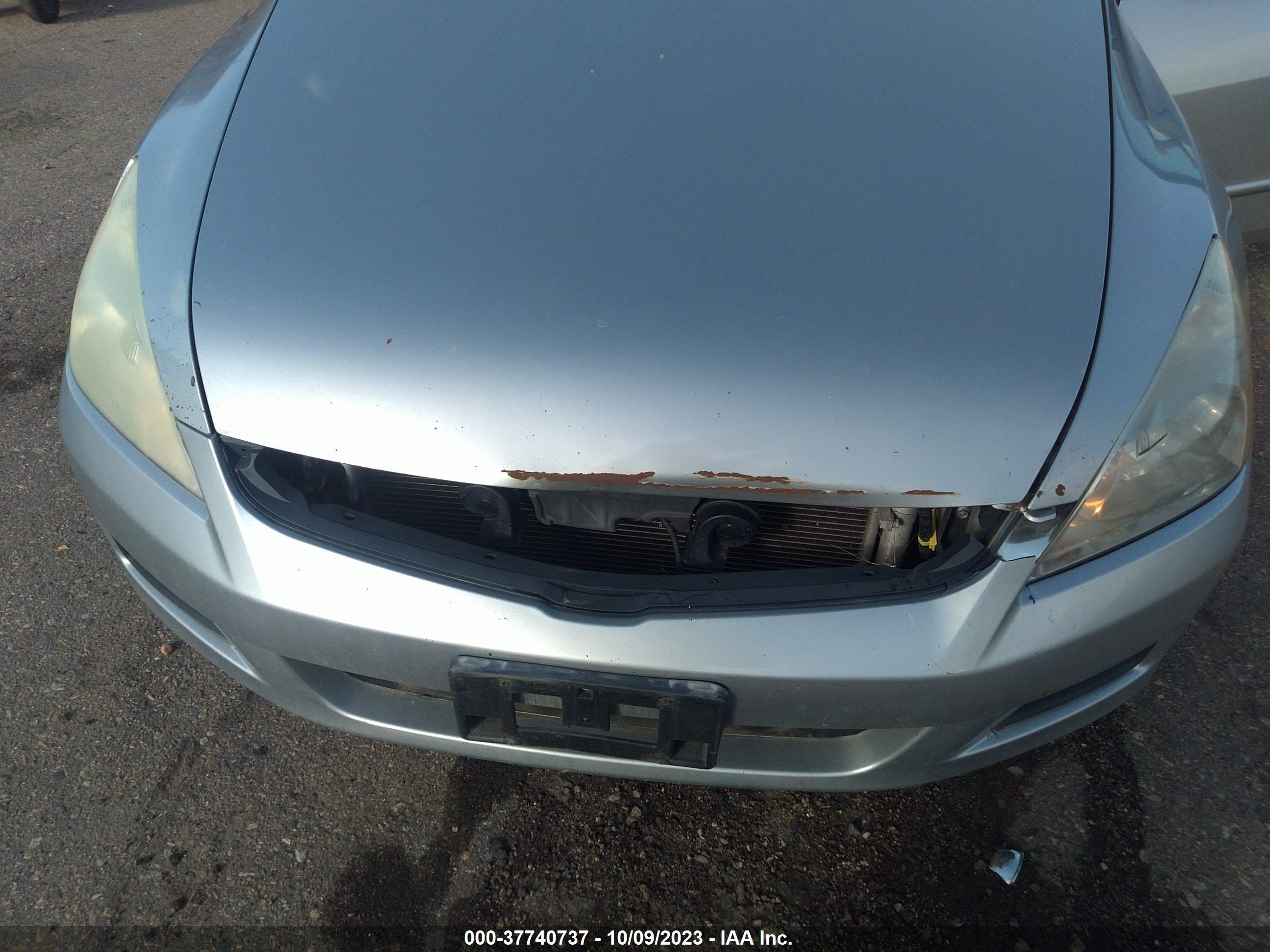 Photo 5 VIN: 1HGCM56766A067113 - HONDA ACCORD 