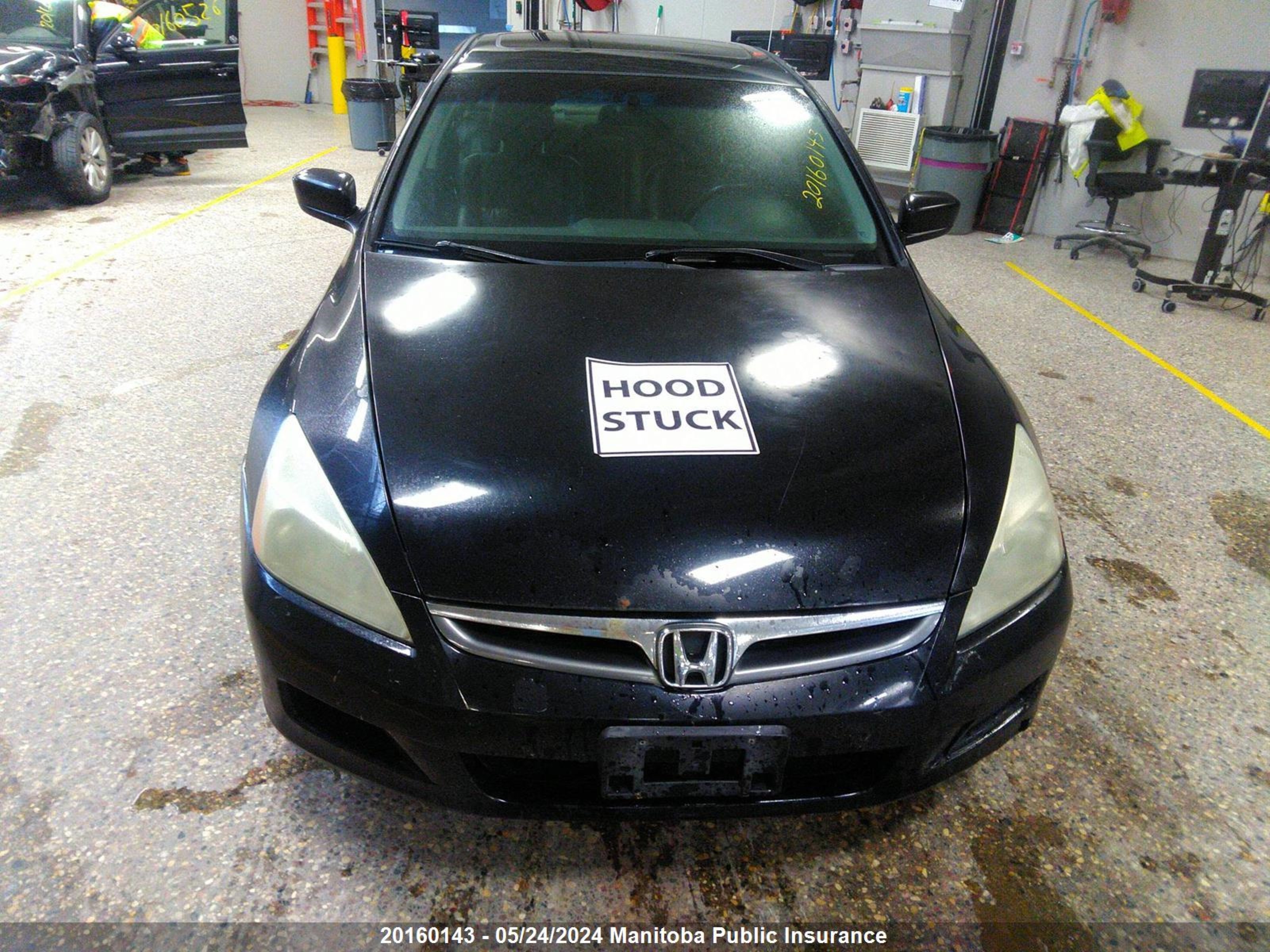 Photo 9 VIN: 1HGCM56767A806384 - HONDA ACCORD 