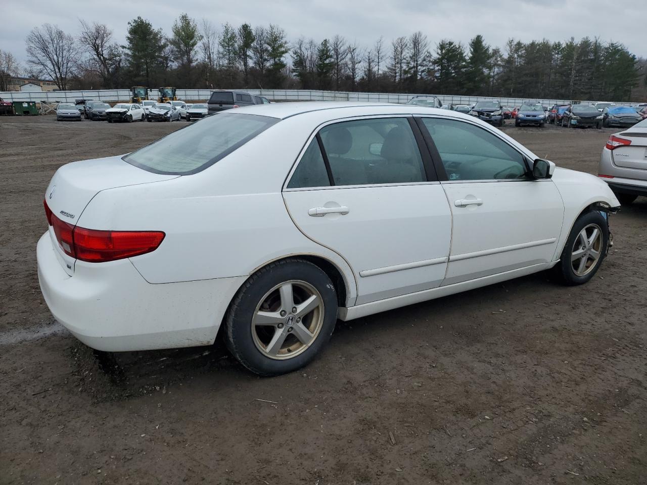 Photo 2 VIN: 1HGCM567X5A097861 - HONDA ACCORD 