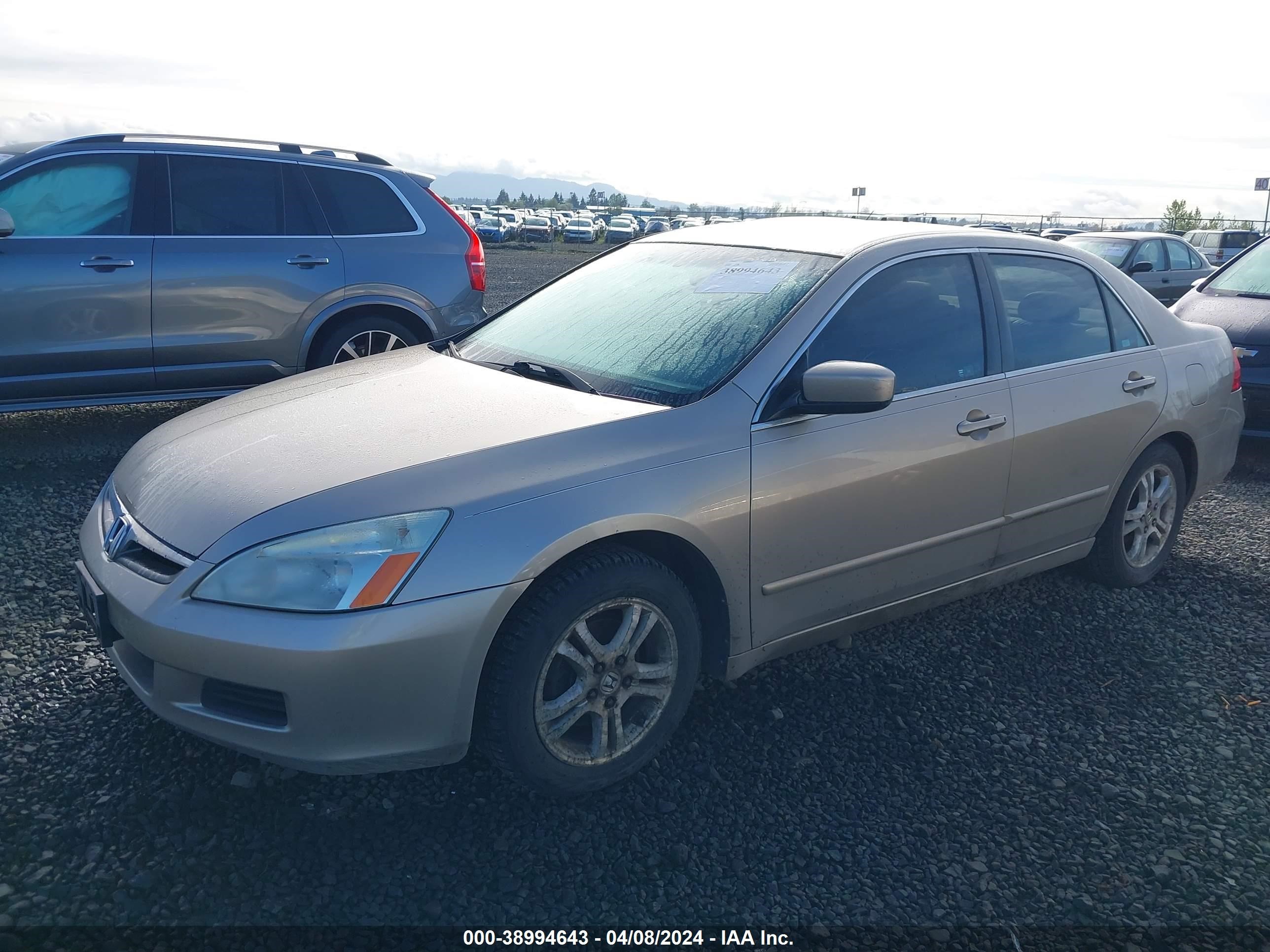 Photo 1 VIN: 1HGCM56806A074373 - HONDA ACCORD 