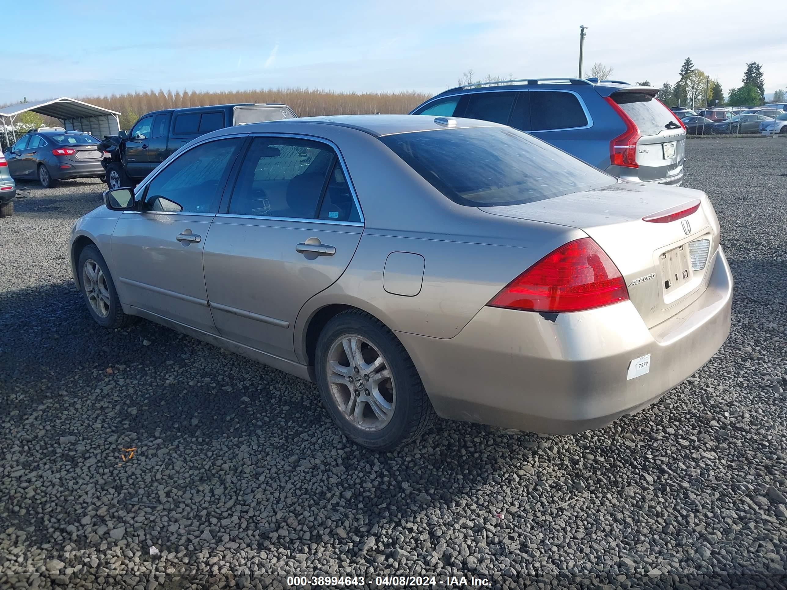 Photo 2 VIN: 1HGCM56806A074373 - HONDA ACCORD 