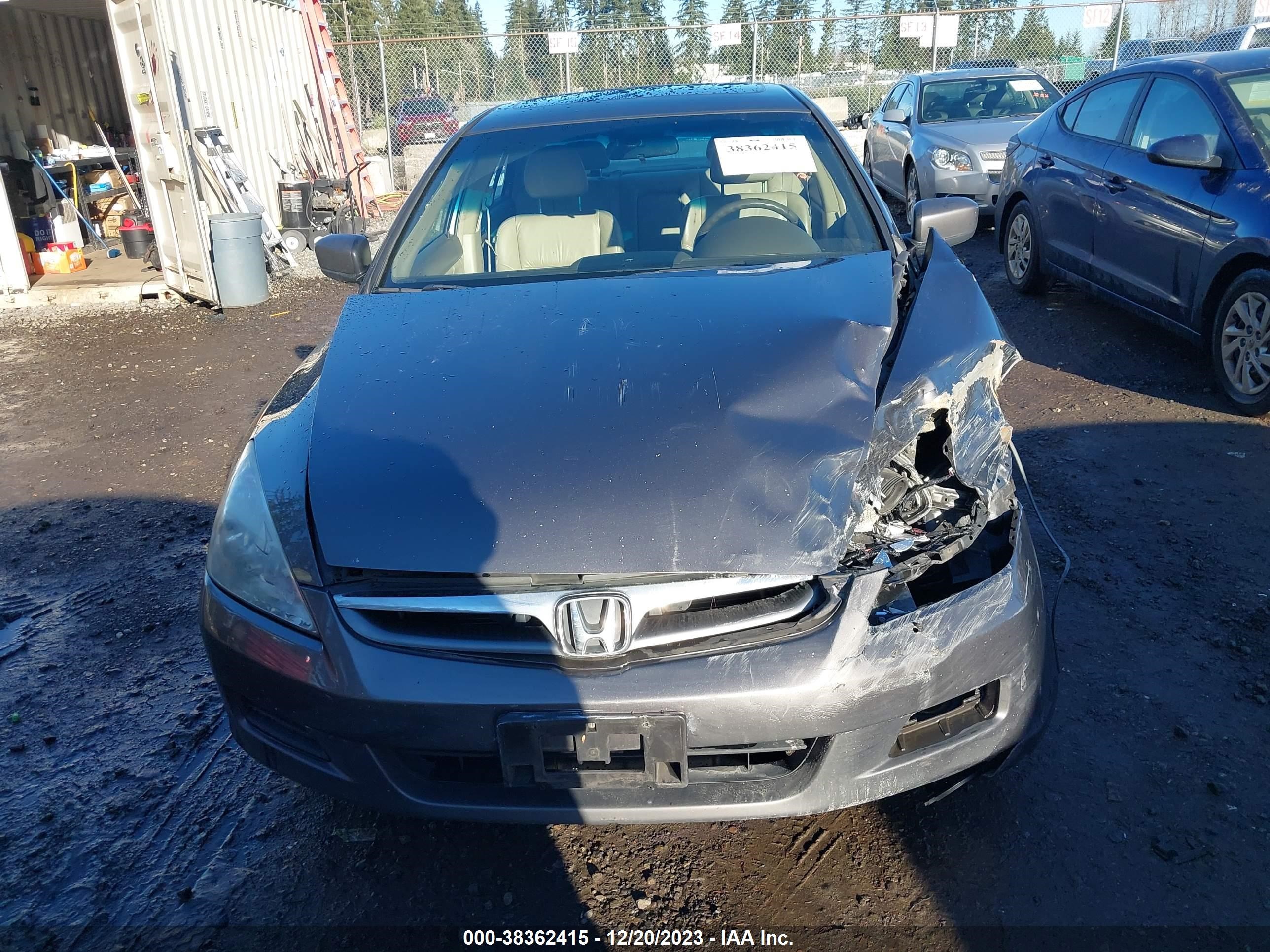 Photo 10 VIN: 1HGCM56816A106473 - HONDA ACCORD 