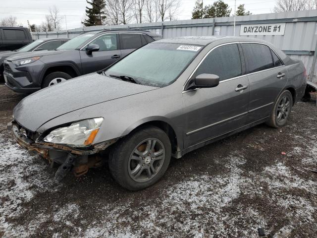 Photo 0 VIN: 1HGCM56816A811323 - HONDA ACCORD 