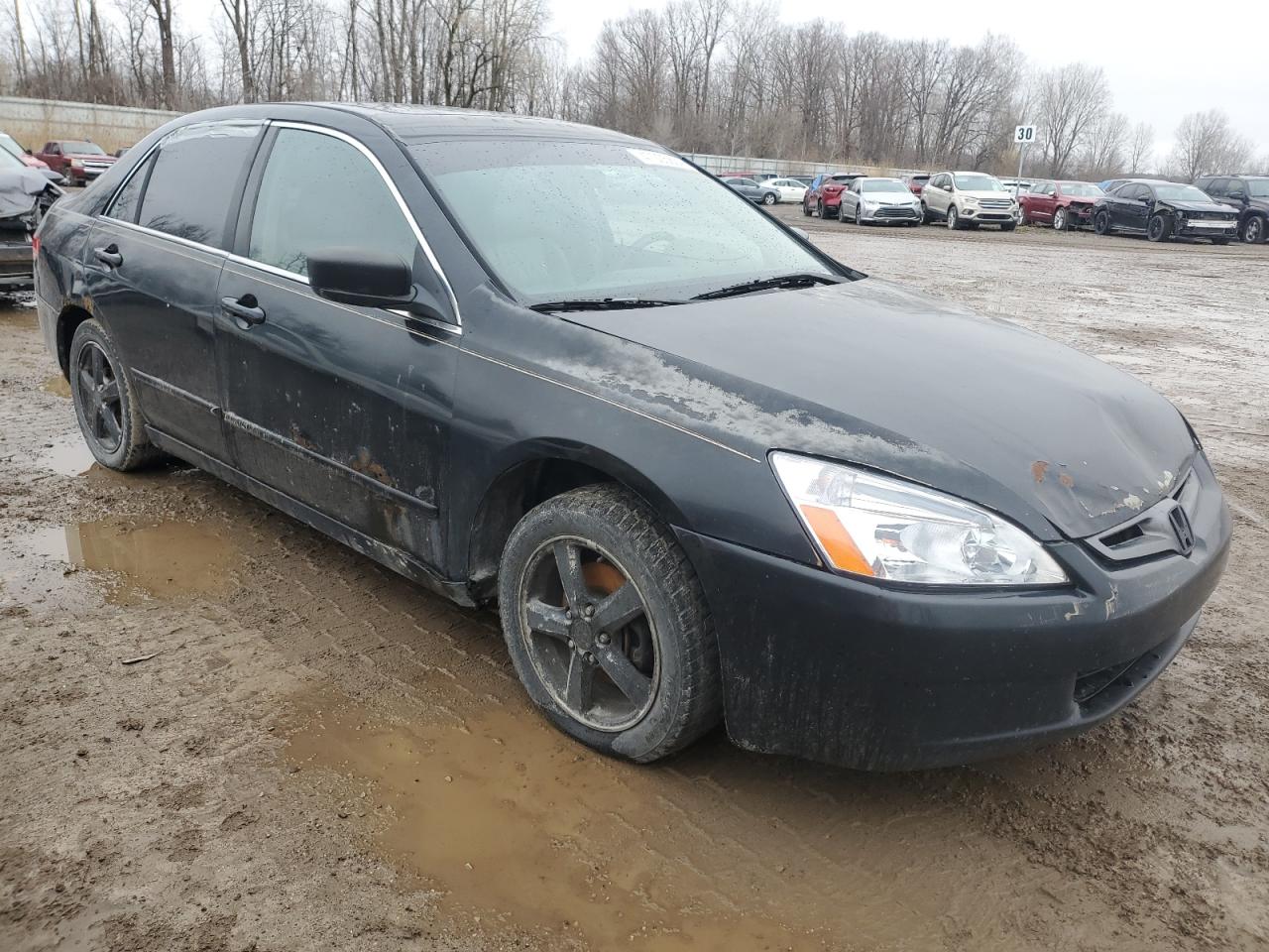 Photo 3 VIN: 1HGCM56825A047206 - HONDA ACCORD 