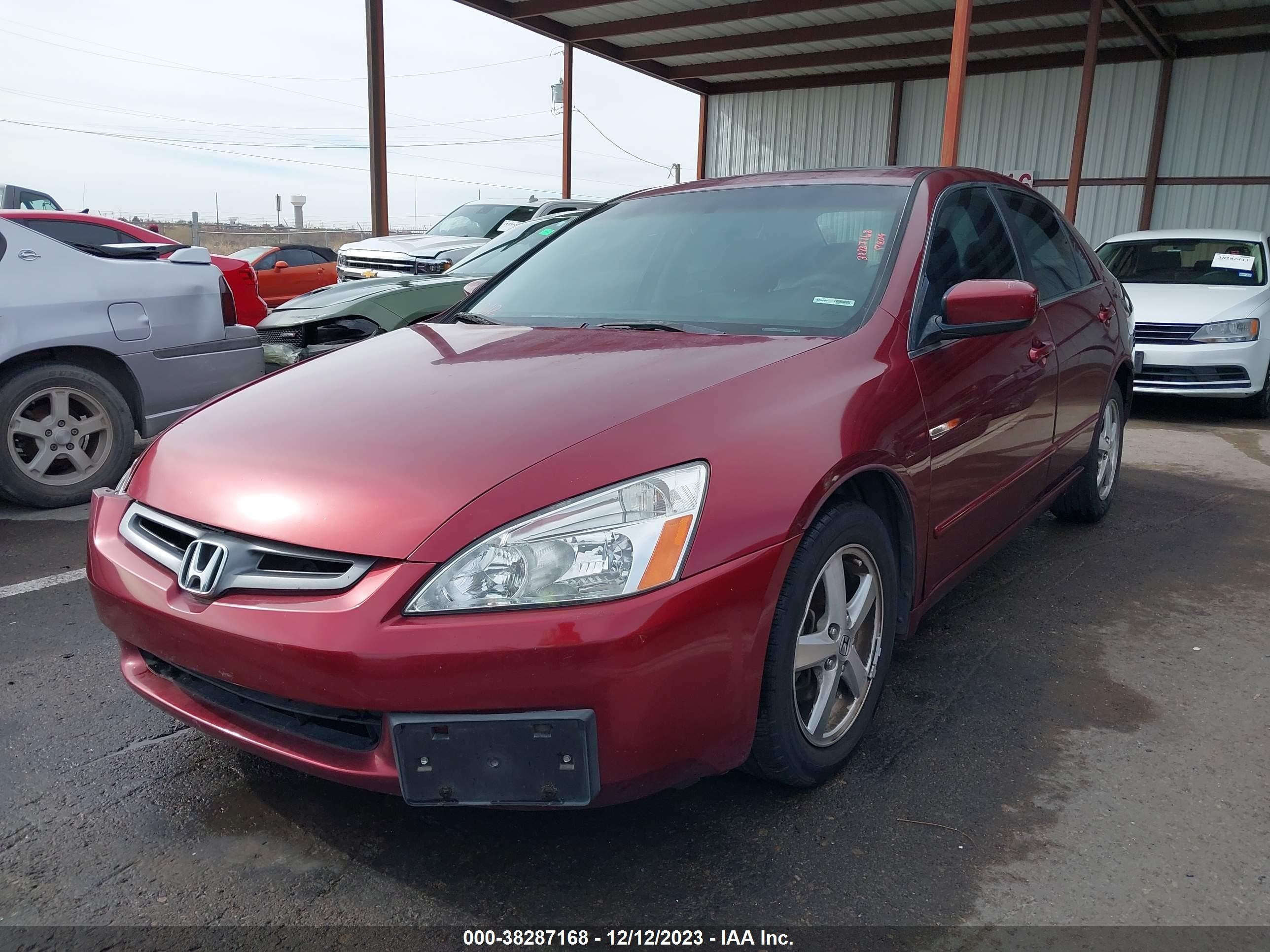 Photo 1 VIN: 1HGCM56825A176501 - HONDA ACCORD 