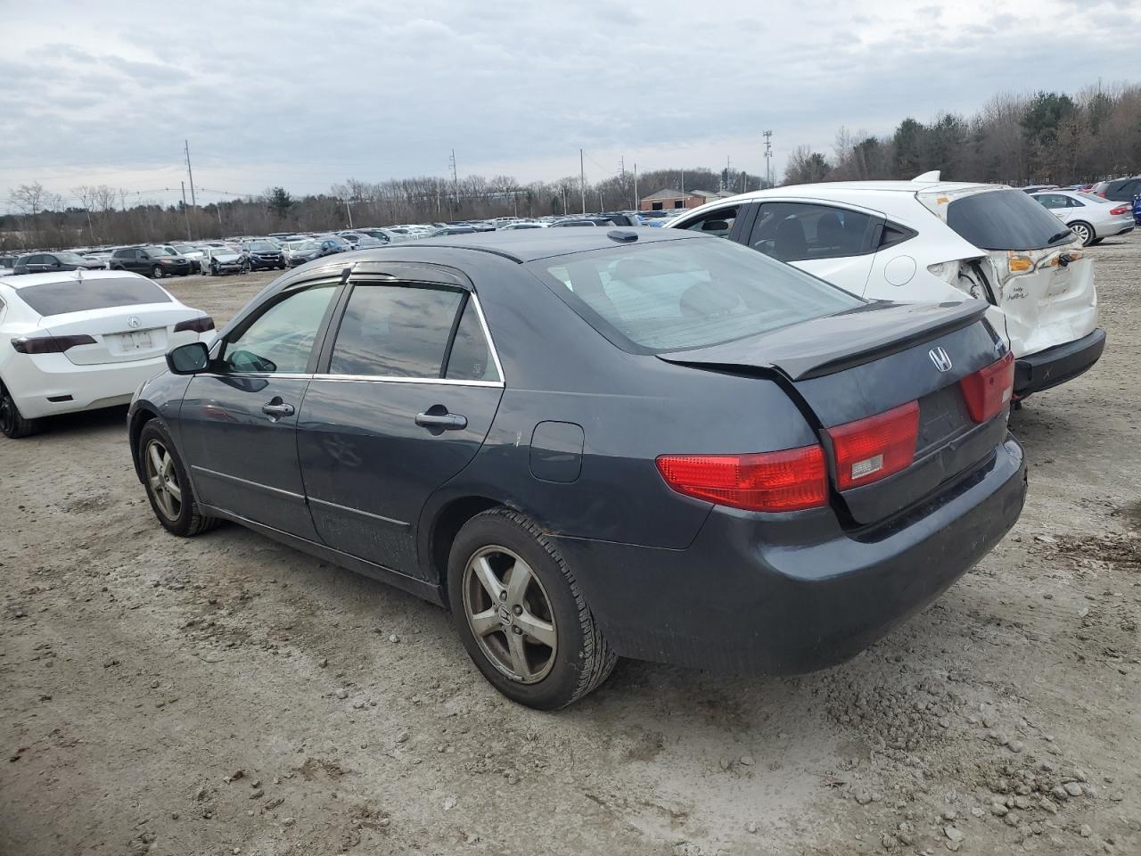 Photo 1 VIN: 1HGCM56835A069618 - HONDA ACCORD 