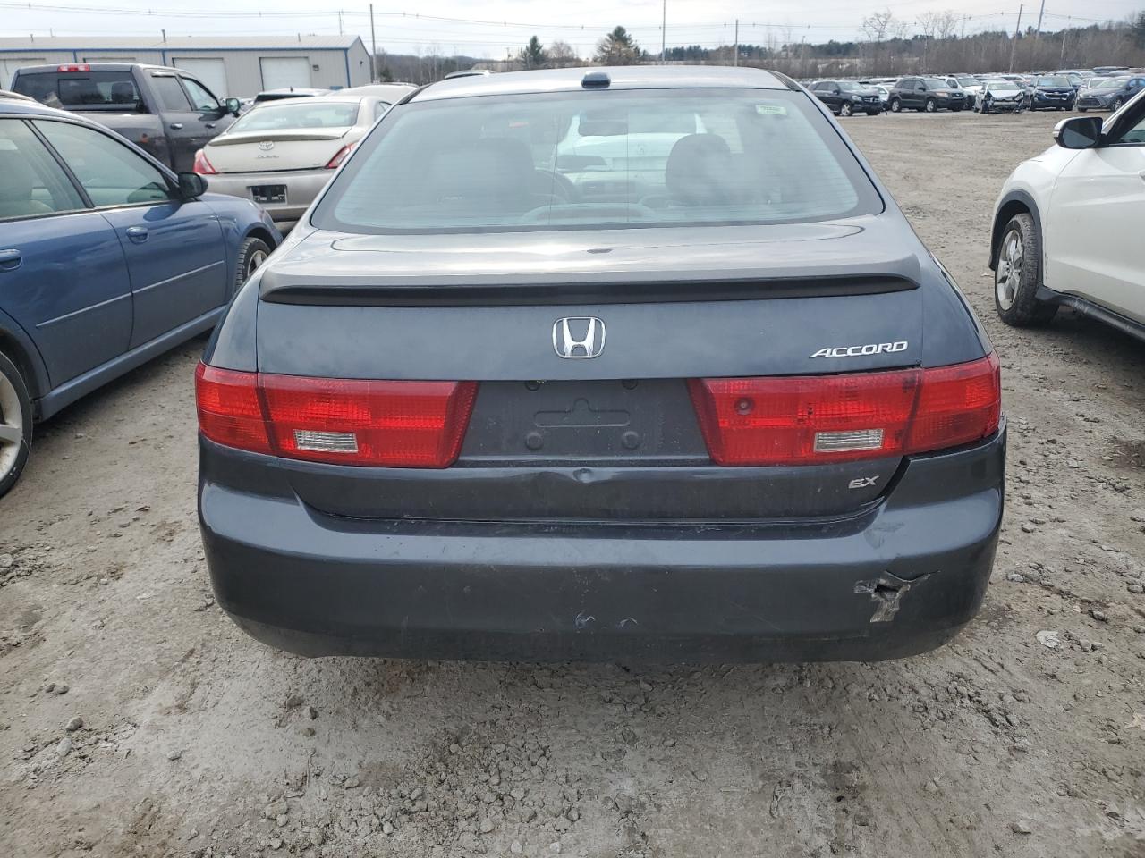 Photo 5 VIN: 1HGCM56835A069618 - HONDA ACCORD 